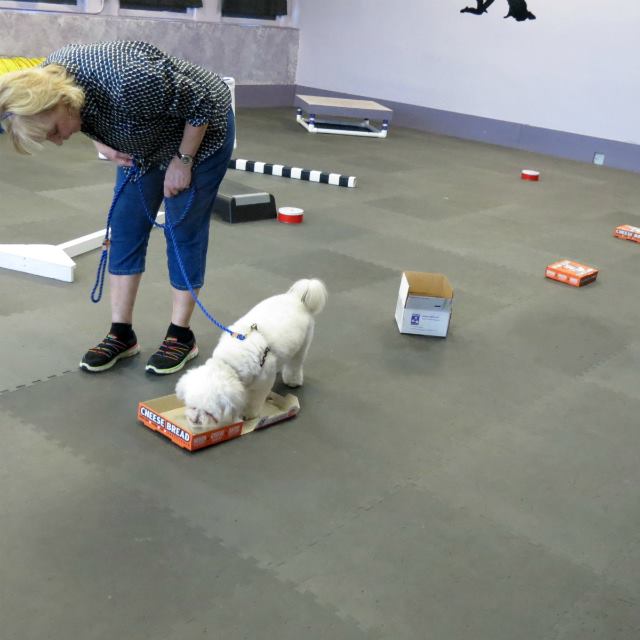 11150838_953171491410785_9211937854896478526_n[1].jpg