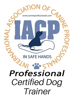 Certified Dog Trainer.jpg