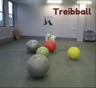 H-TBall (1).jpg