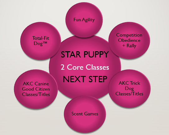 Continuing Education: Let’s Keep Going – Do More! Now that you’ve got that great teamwork going from our 2 Core Classes, keep it going into any number of different directions!
