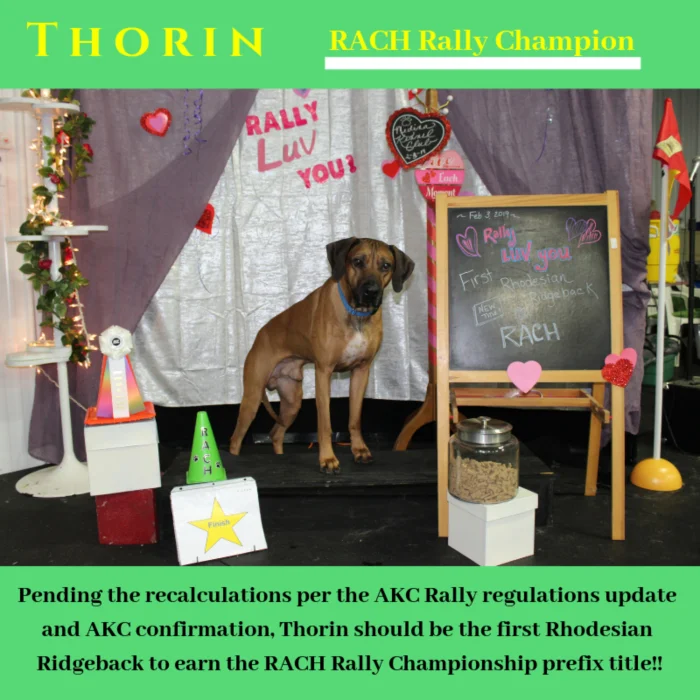 Congratulations- RACH for Thorin!