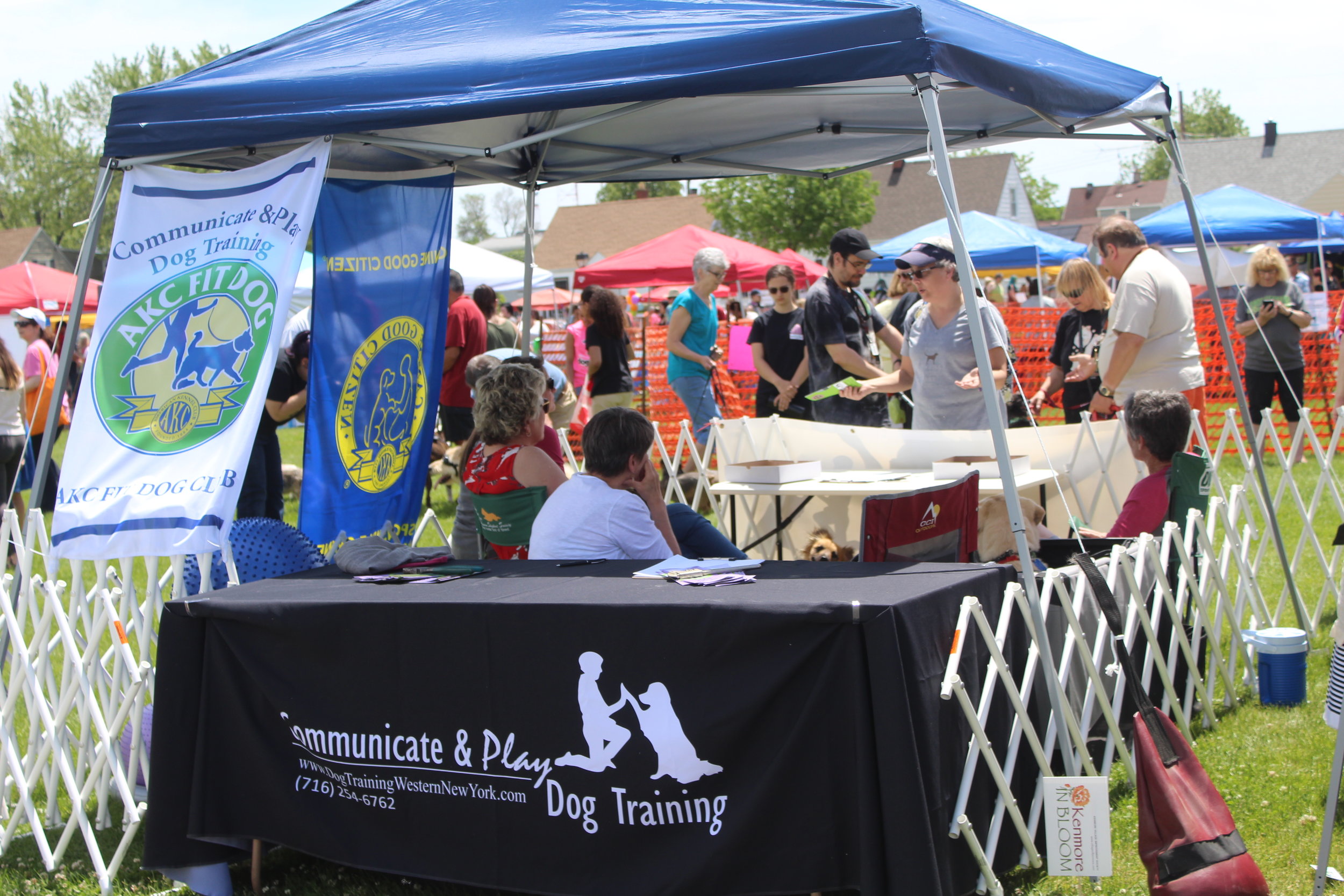 Celebrating Dog Days of Summer