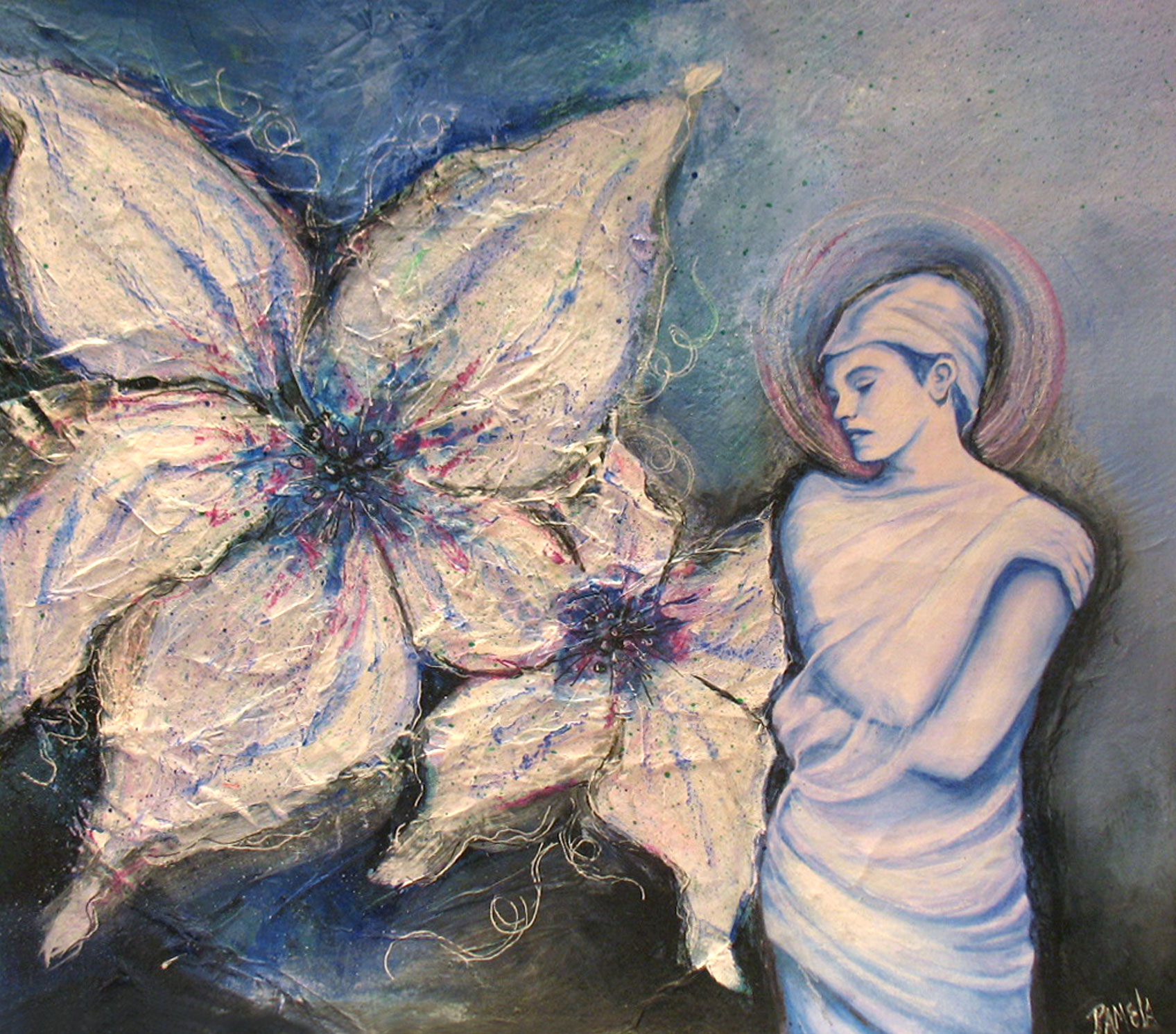 The Lily