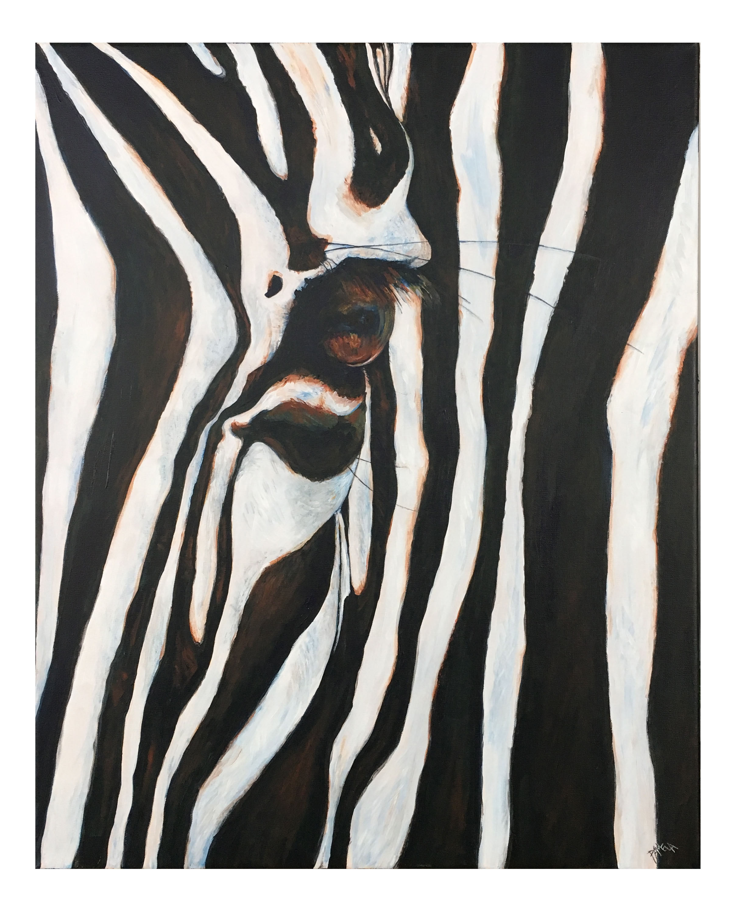 One Zebra