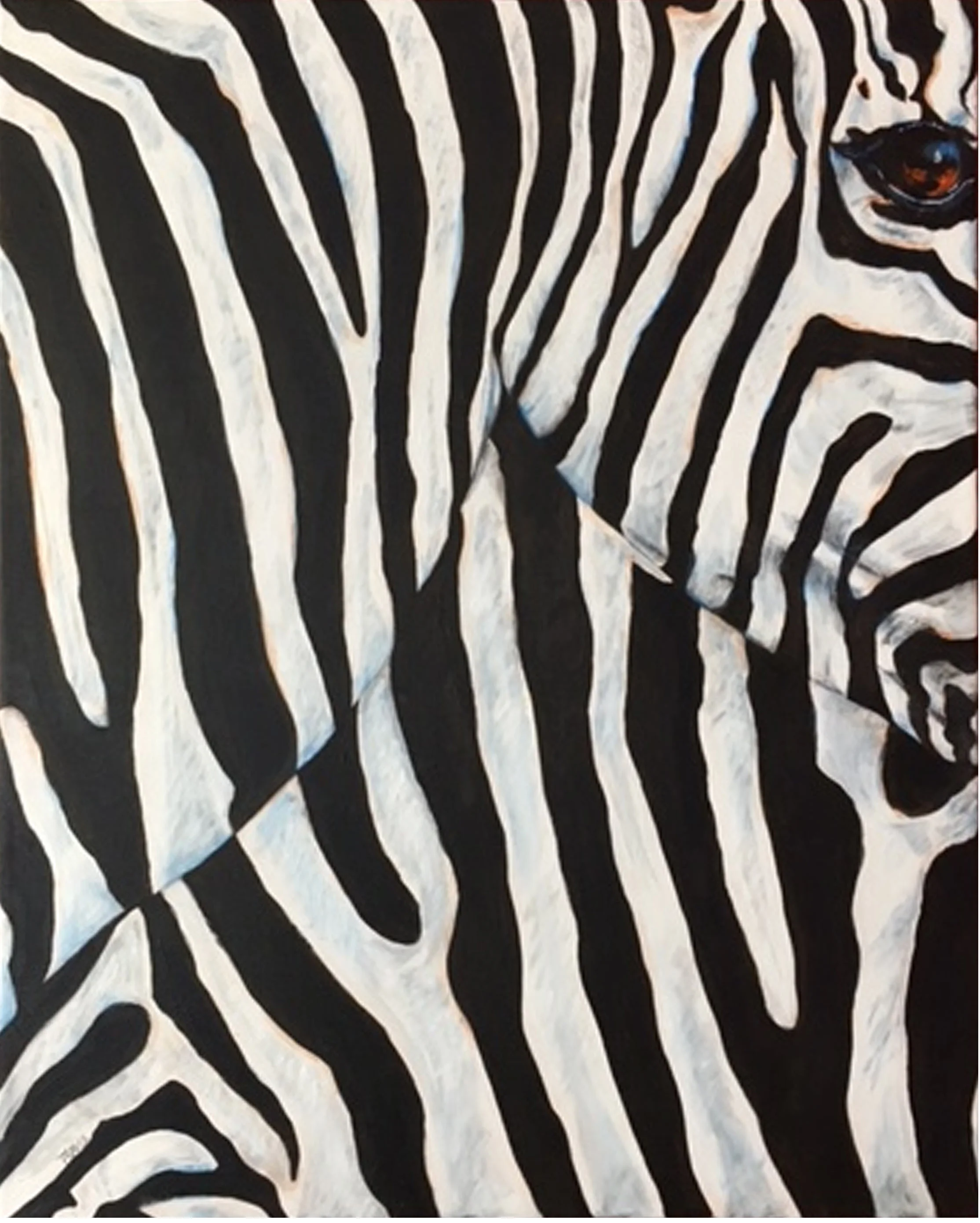 Two Zebras