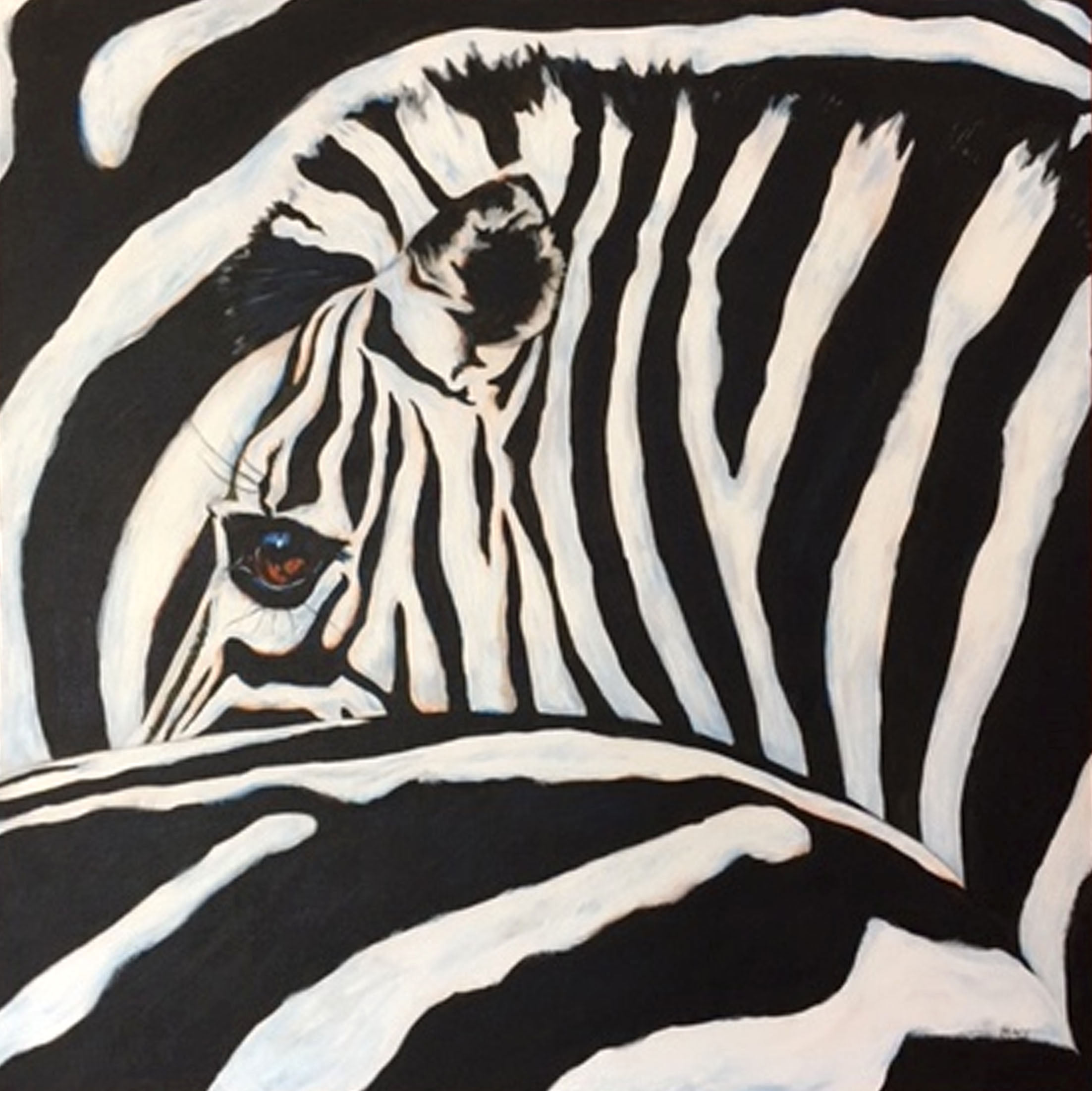 Three Zebras