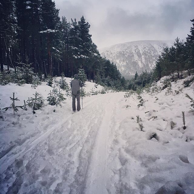 End of day scoot around the Feshiebridge tracks! .
.
#crosscountryskiing #crosscountry #skinnyskis #snow #feshiebridge #cairngormsnationalpark #cairngorms #visitcairngorms #aviumltd #outdoorresearch #winter #scotland #aviemore #mountains #scottishhig