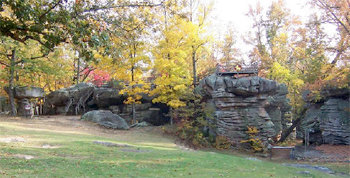 Horse Pens 40