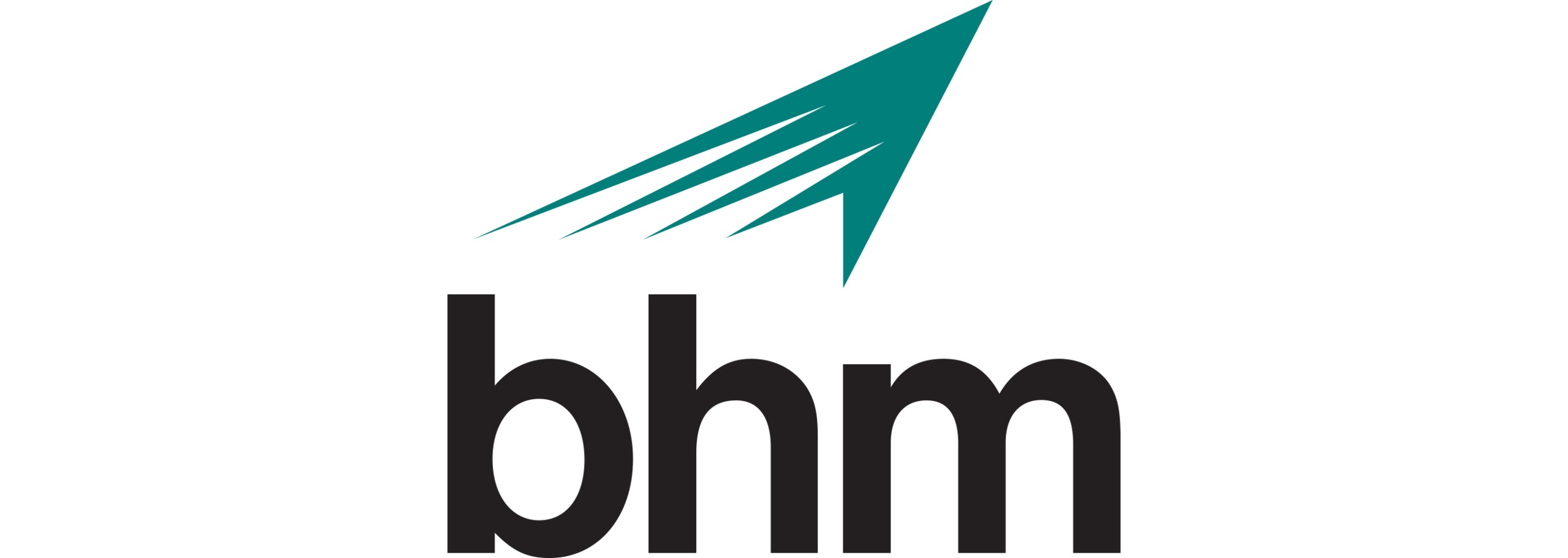 BAA_bhmLOGO_teal-mark.png