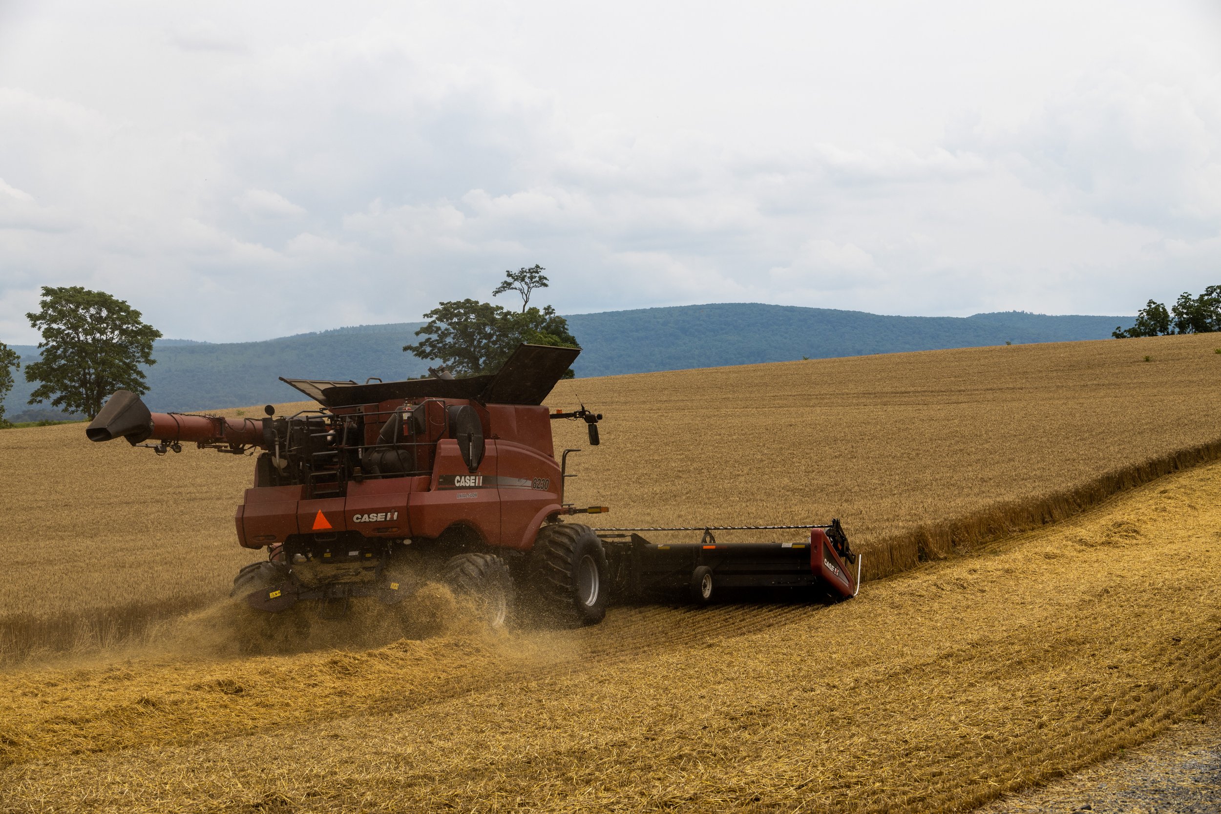 Harvest