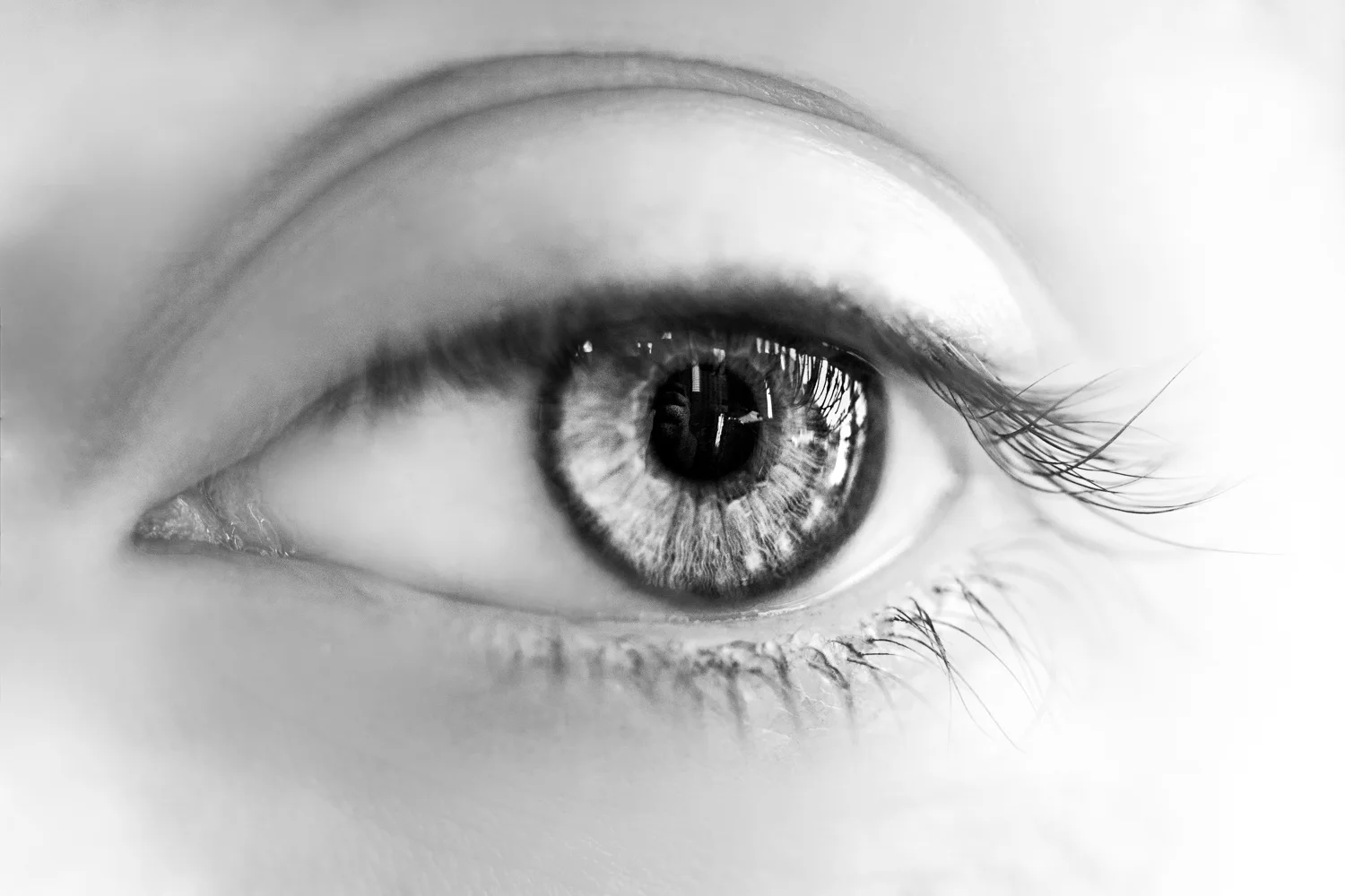 Connor_Fenwick_Eyescapes_web_01.jpg