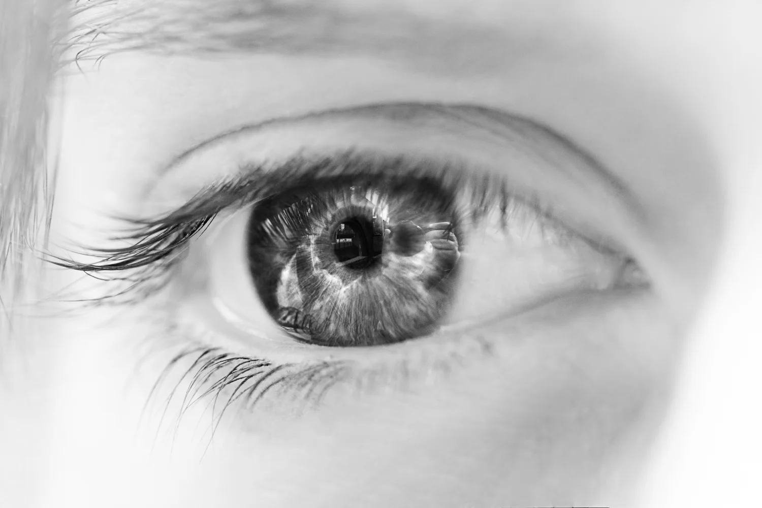 Connor_Fenwick_Eyescapes_web_03.jpg