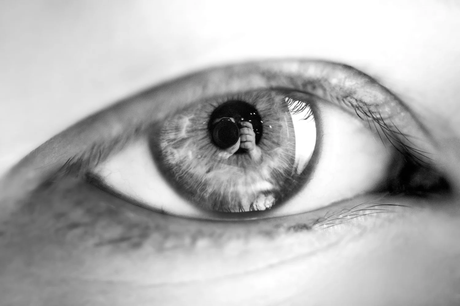 Connor_Fenwick_Eyescapes_web_06.jpg