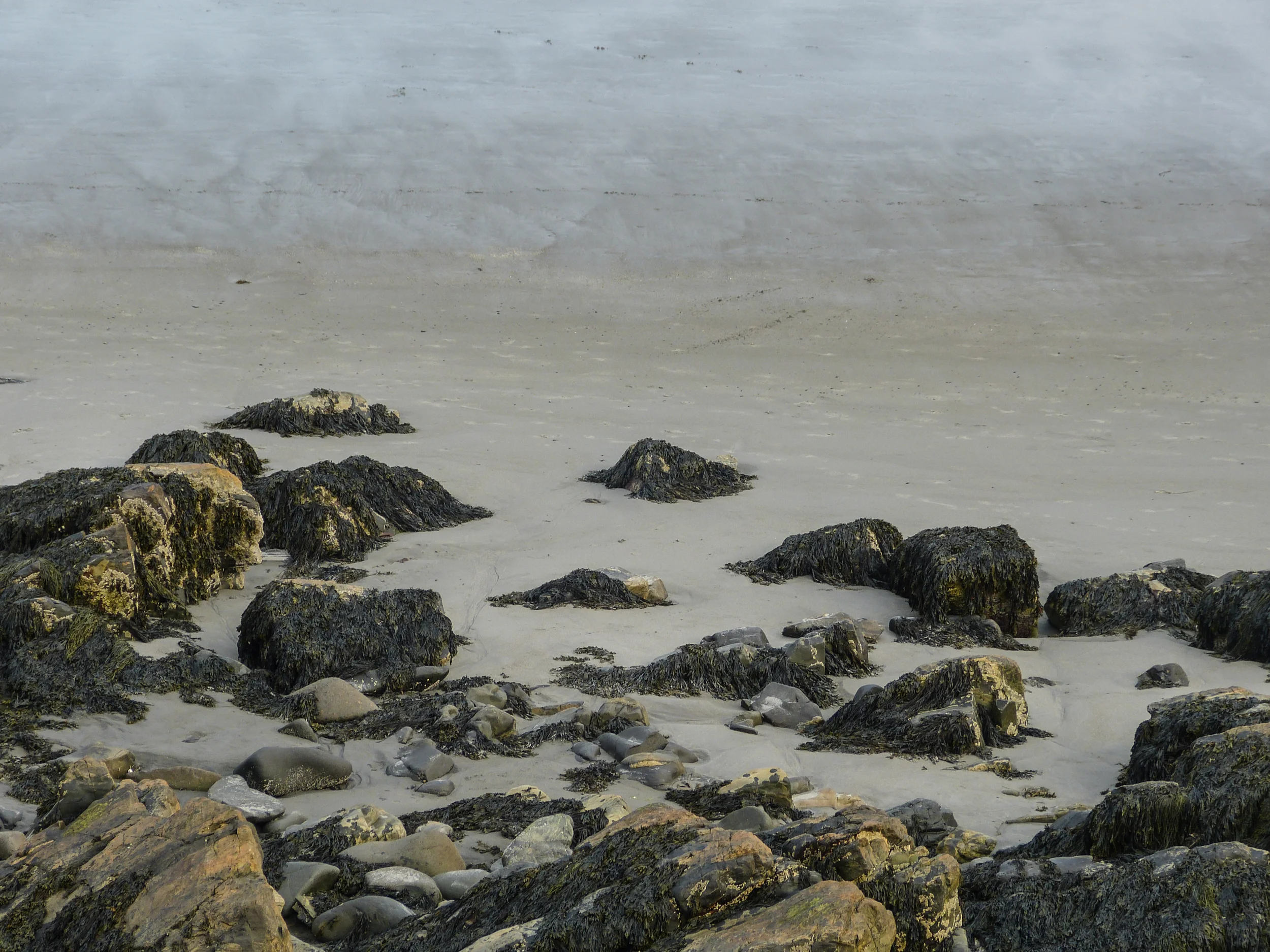 Coastline, York, Maine