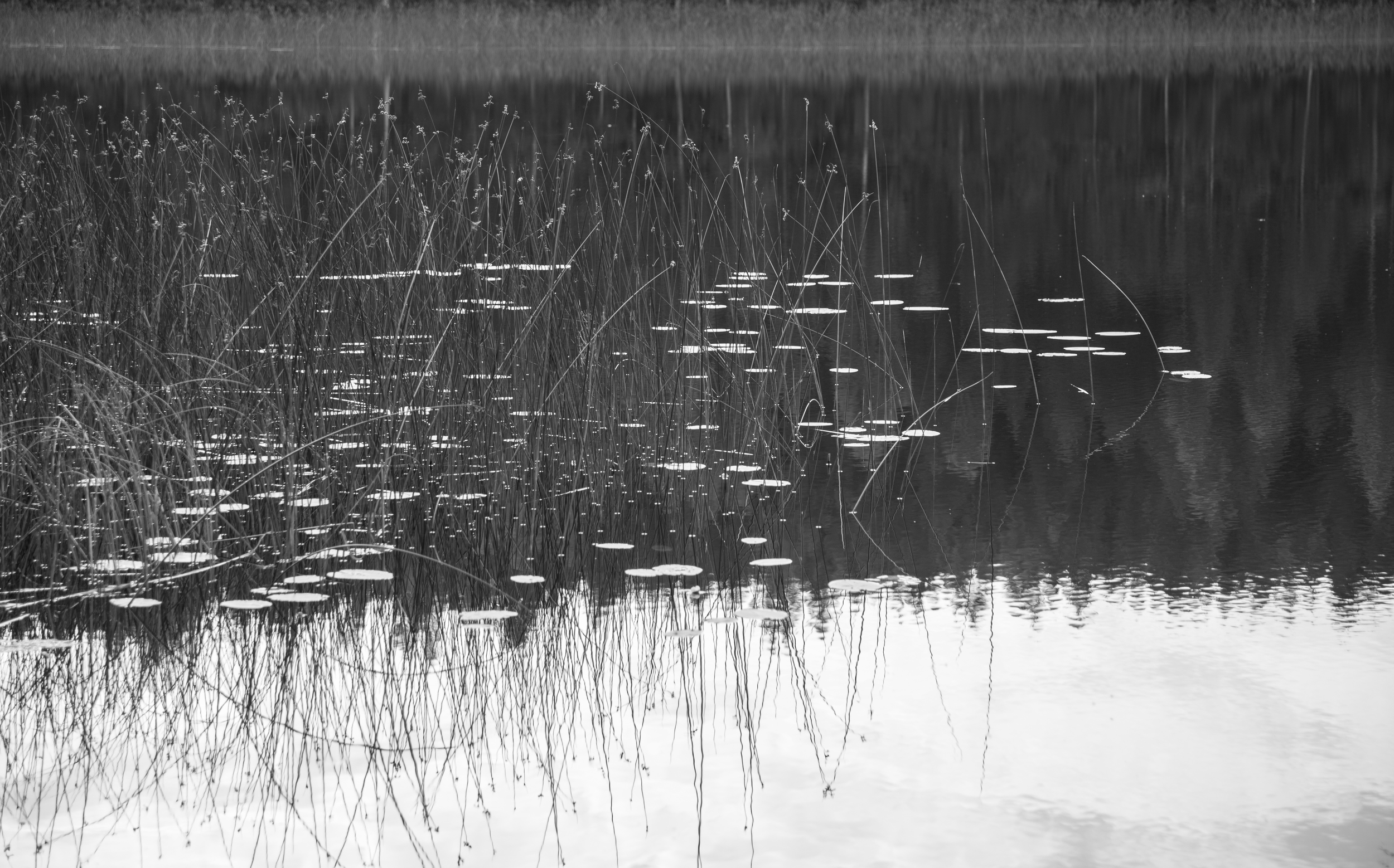 Birdsong Cottages Pond, Kuhmoinen, Finland - 1