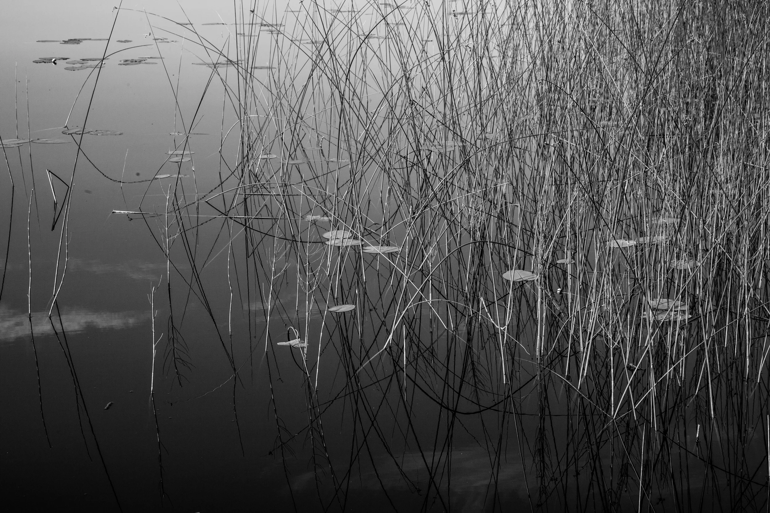 Bbirdsong Cottages Pond, Kuhmoinen, Finland - 2