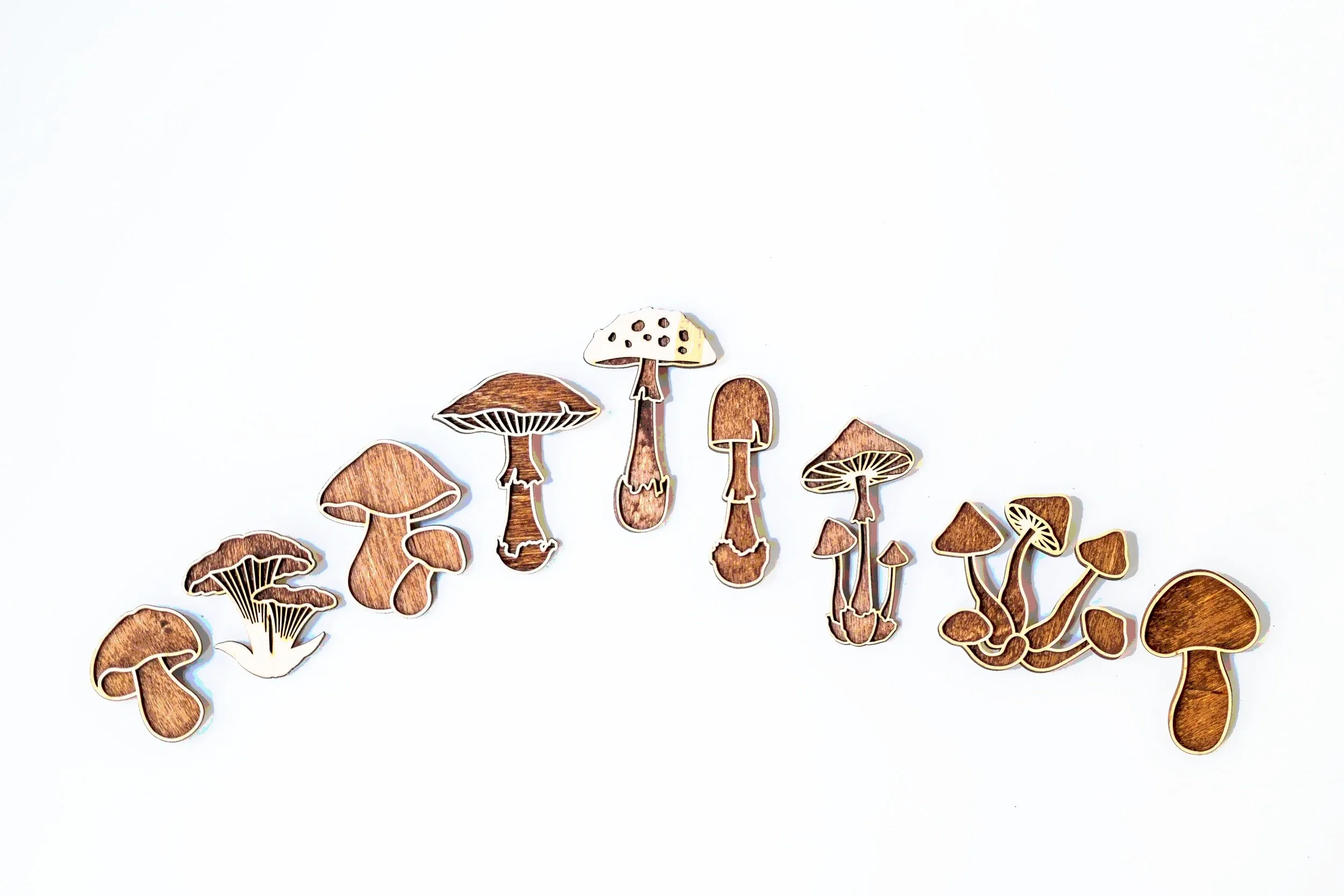 MUSHROOM MAGNETS