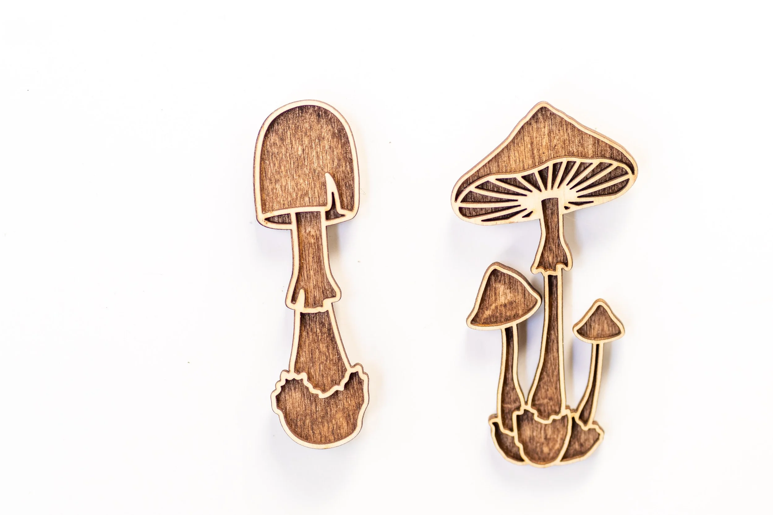 MUSHROOM MAGNETS