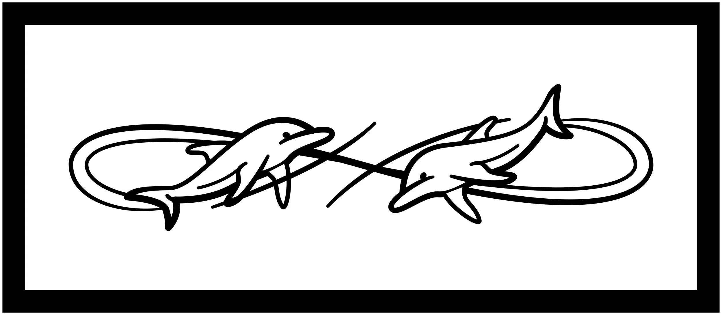 DOLPHINS