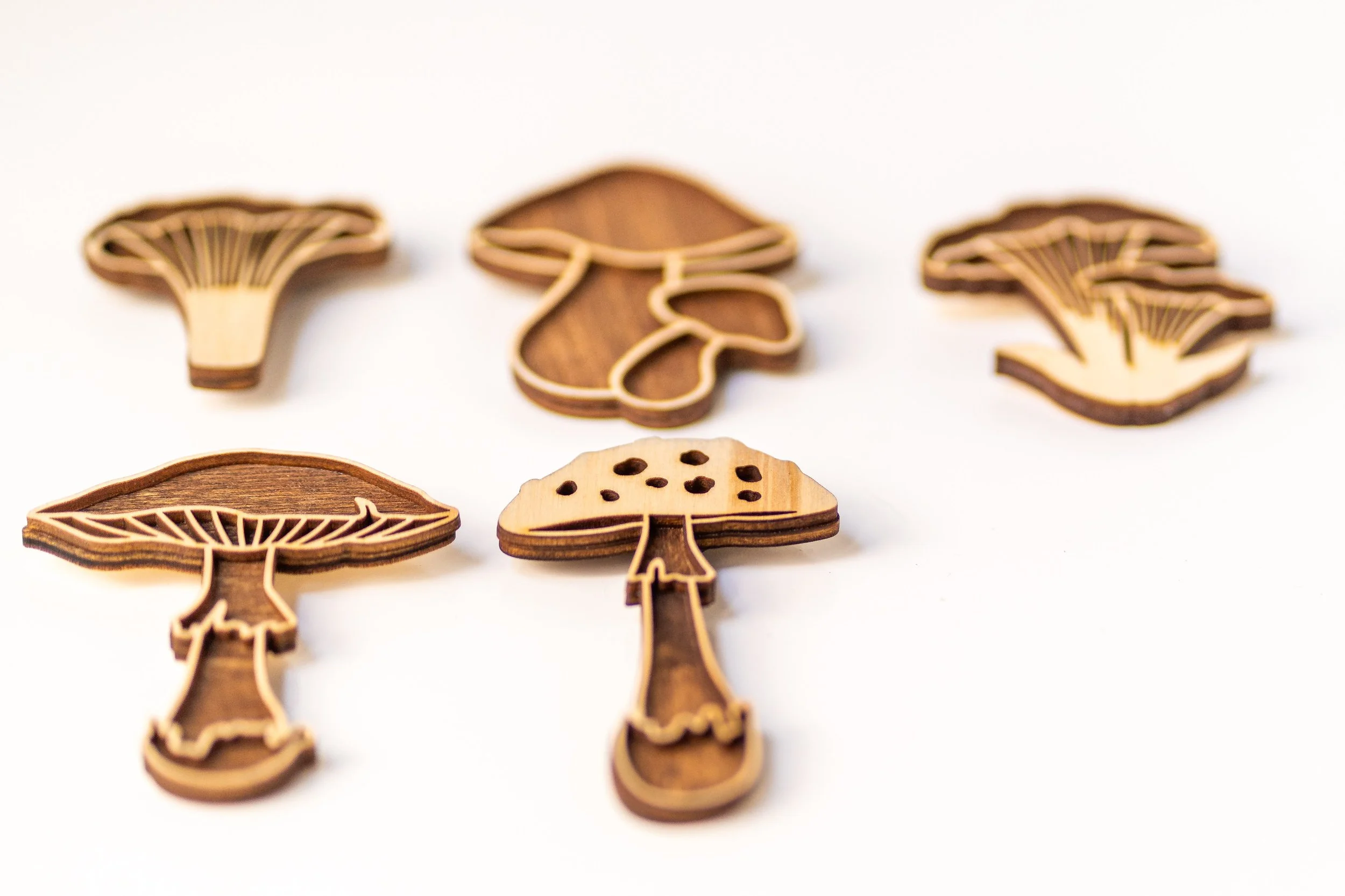 MUSHROOM MAGNETS