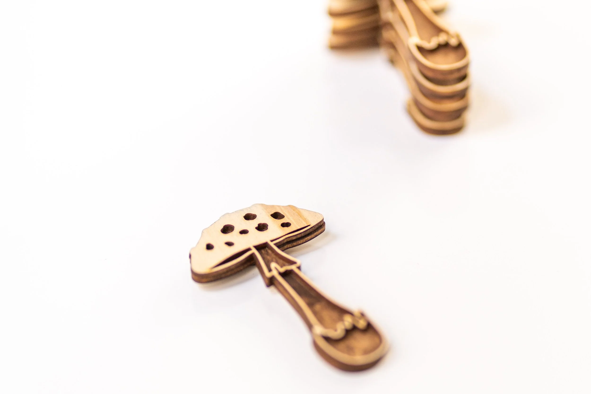 MUSHROOM MAGNETS