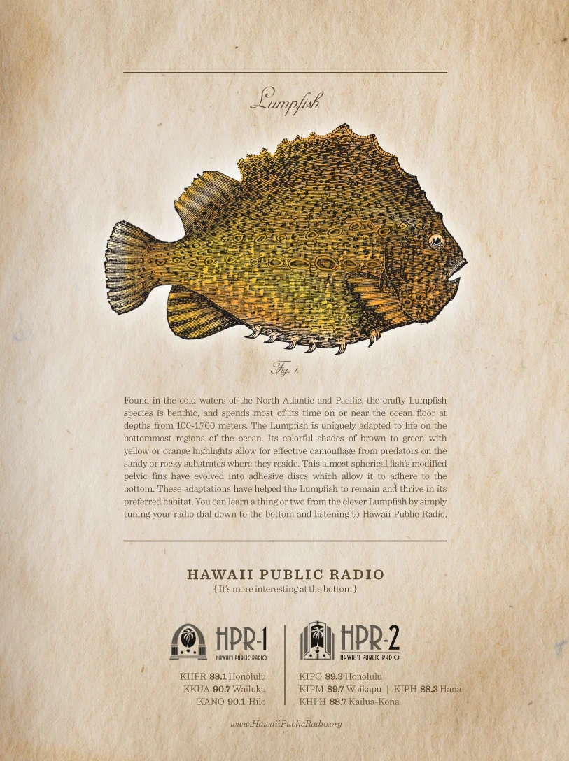 HPR_PrintAds_2013.jpg