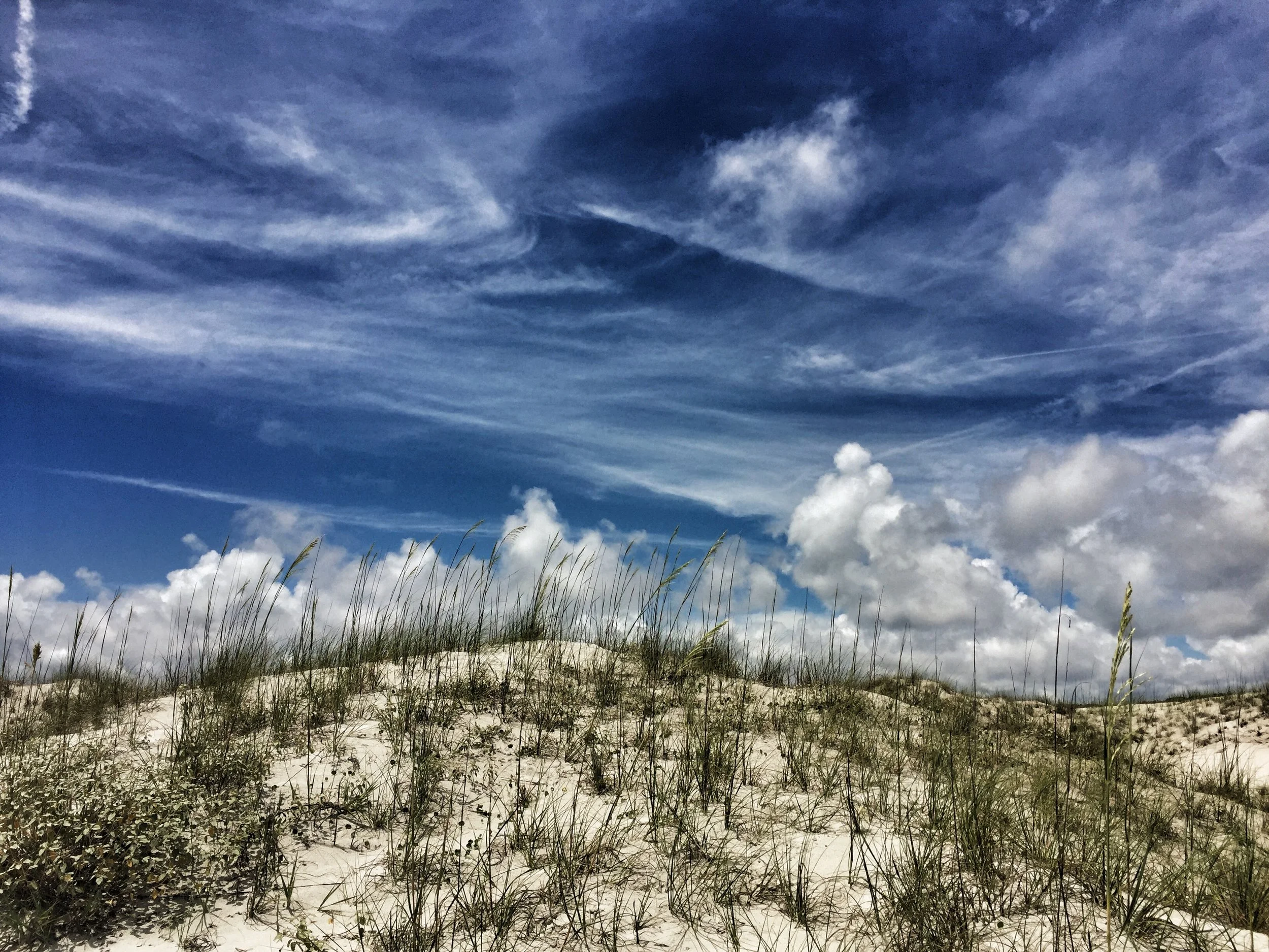 World View - Cumberland Island