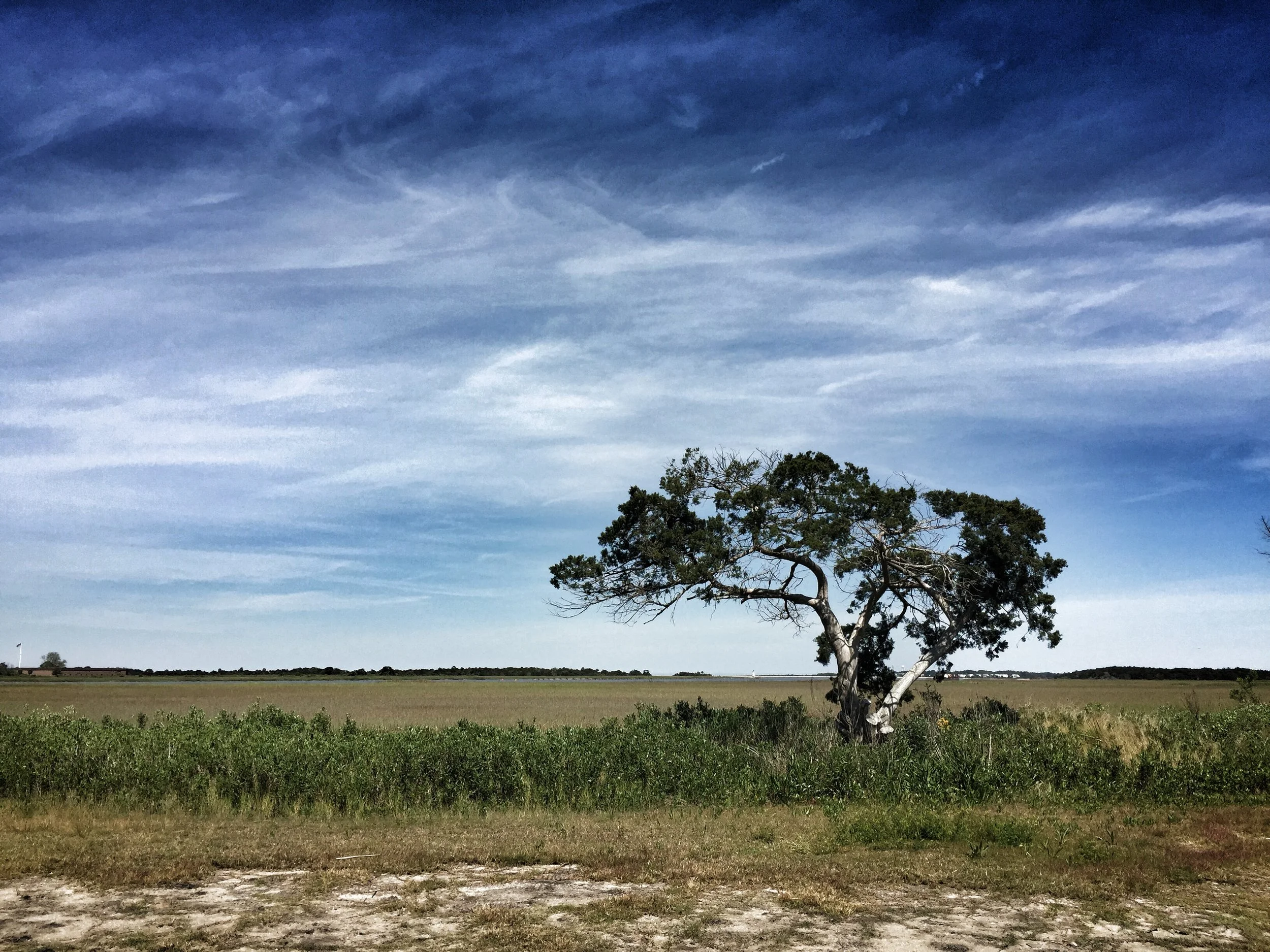 Fort Polaski Overlook