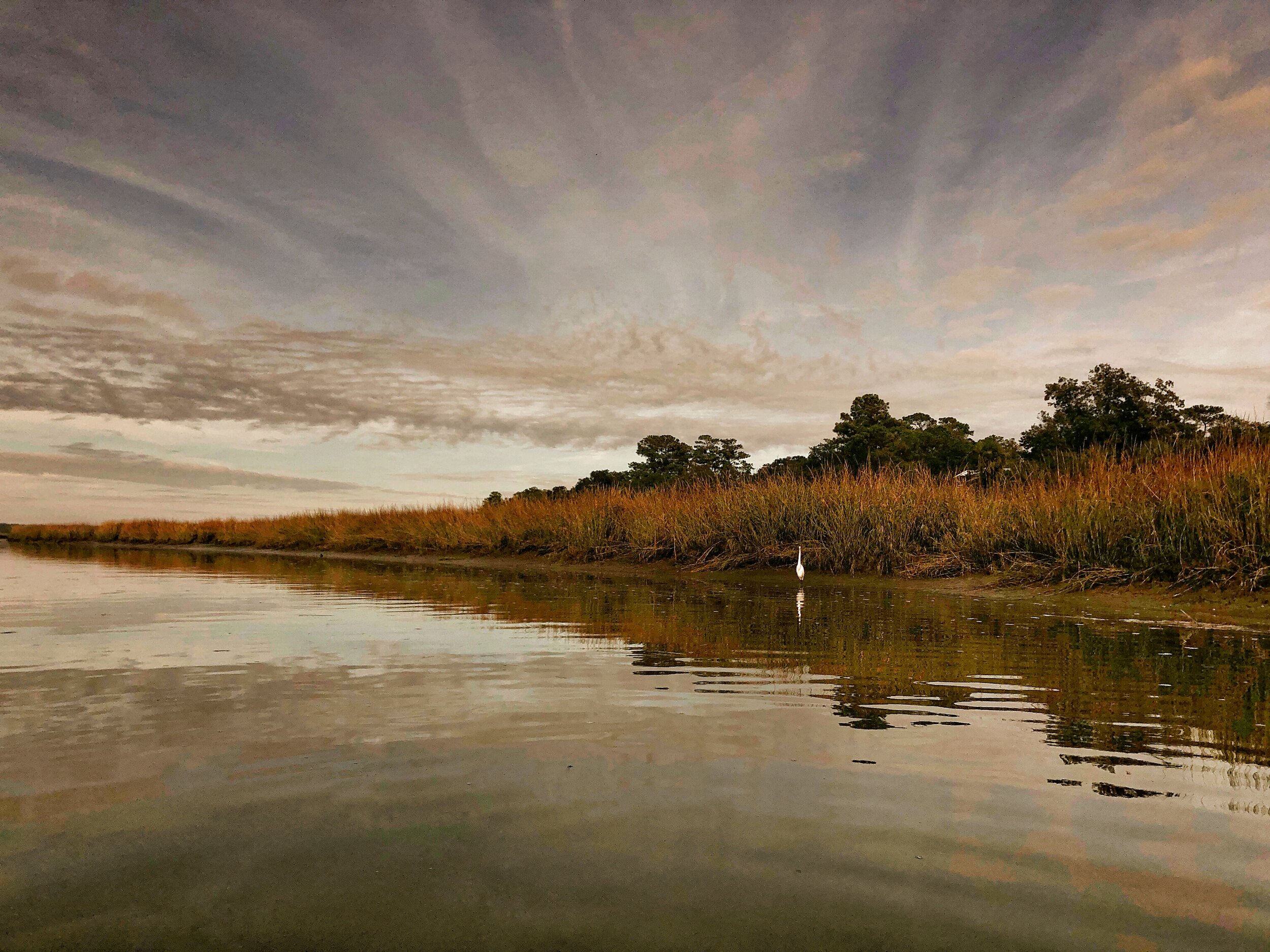 Savannah Marshland