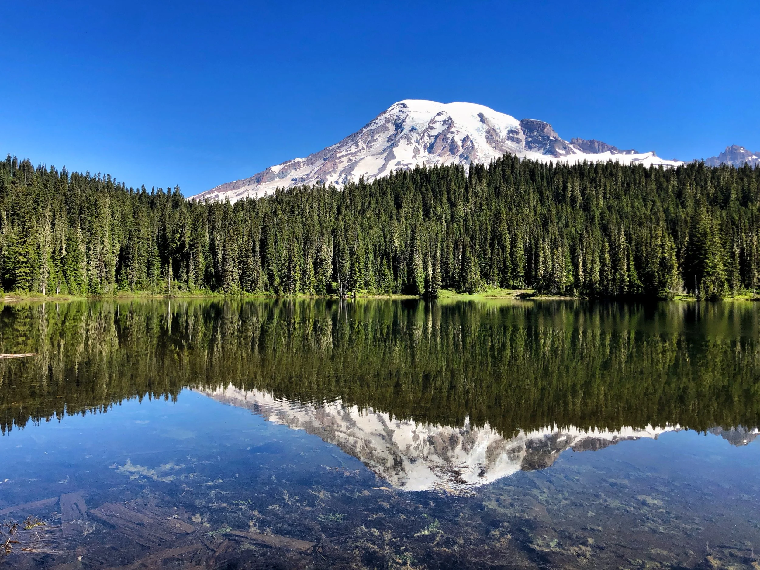 Mt. Rainier Reflections