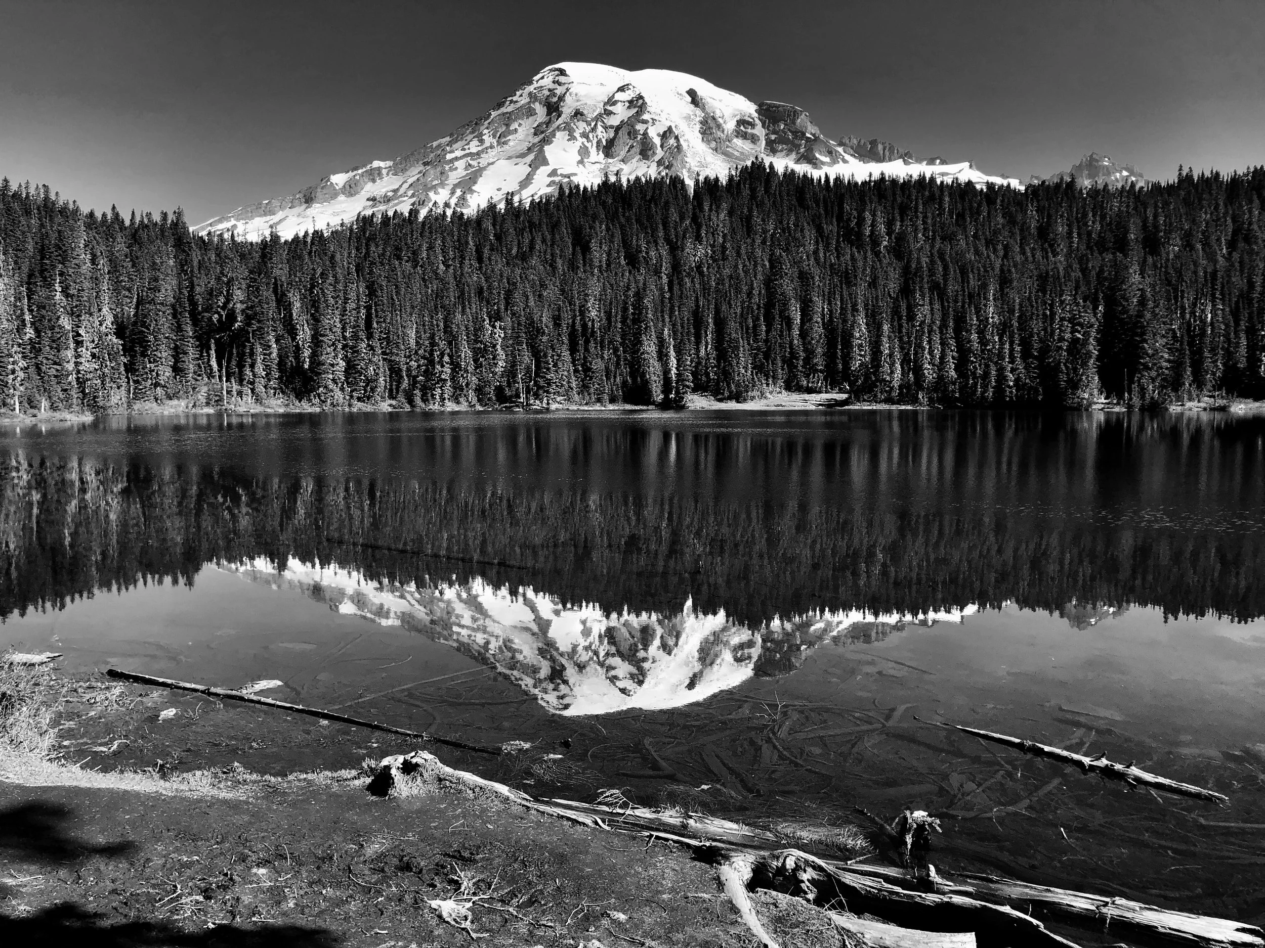 Mt. Rainier Reflections BW