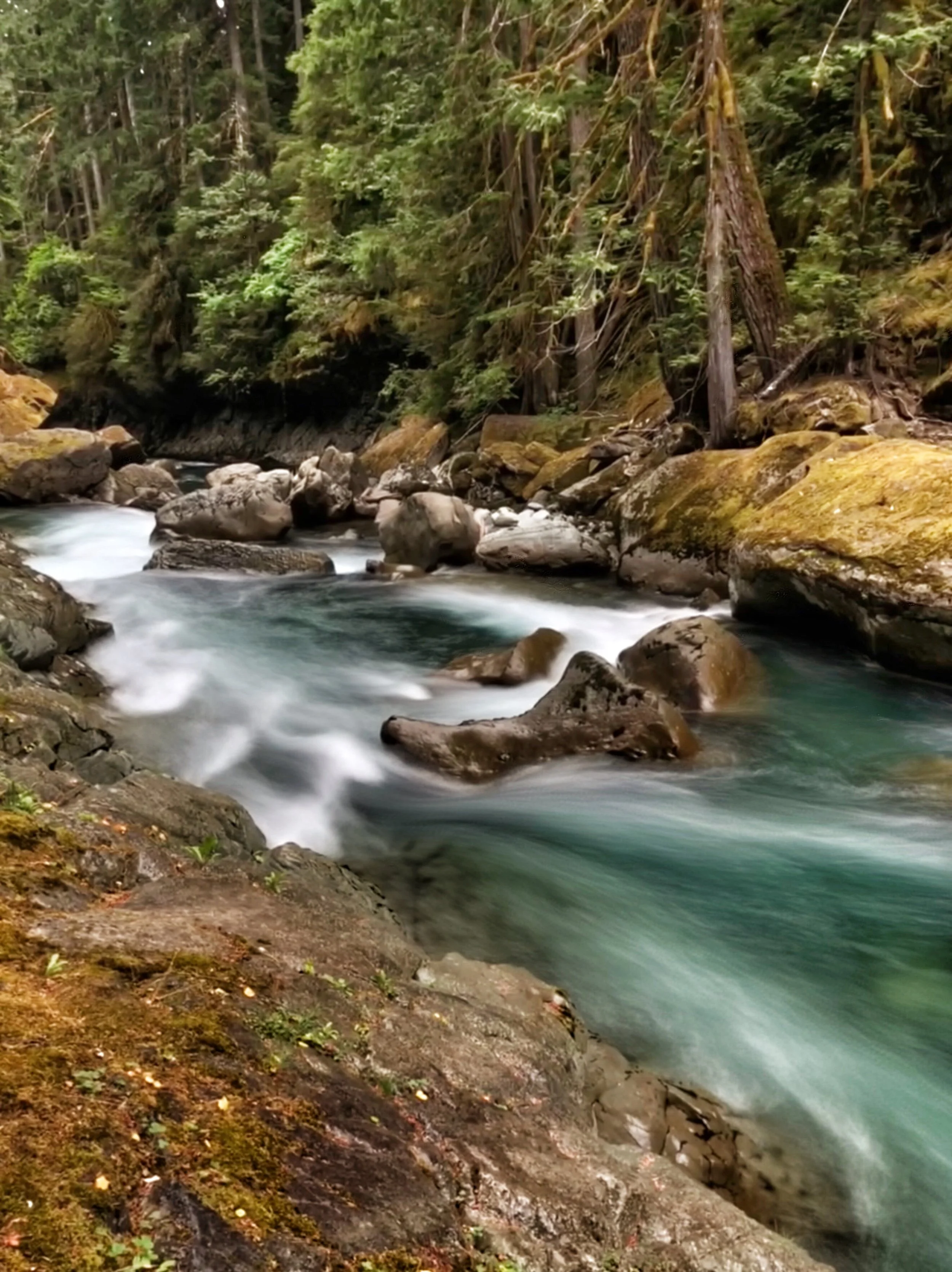 Ohanapecosh River
