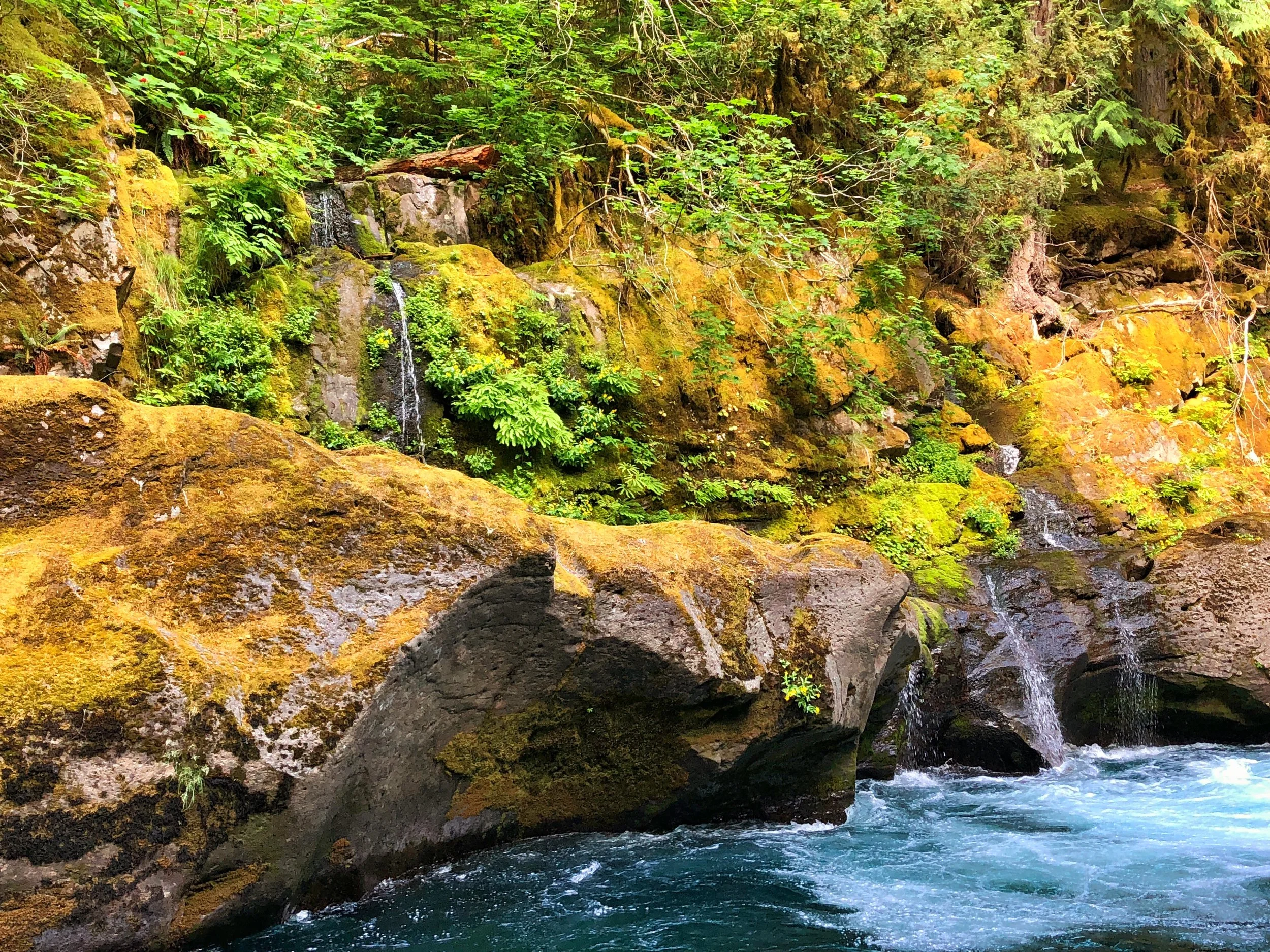 Washington Fairy River and Waterfalls
