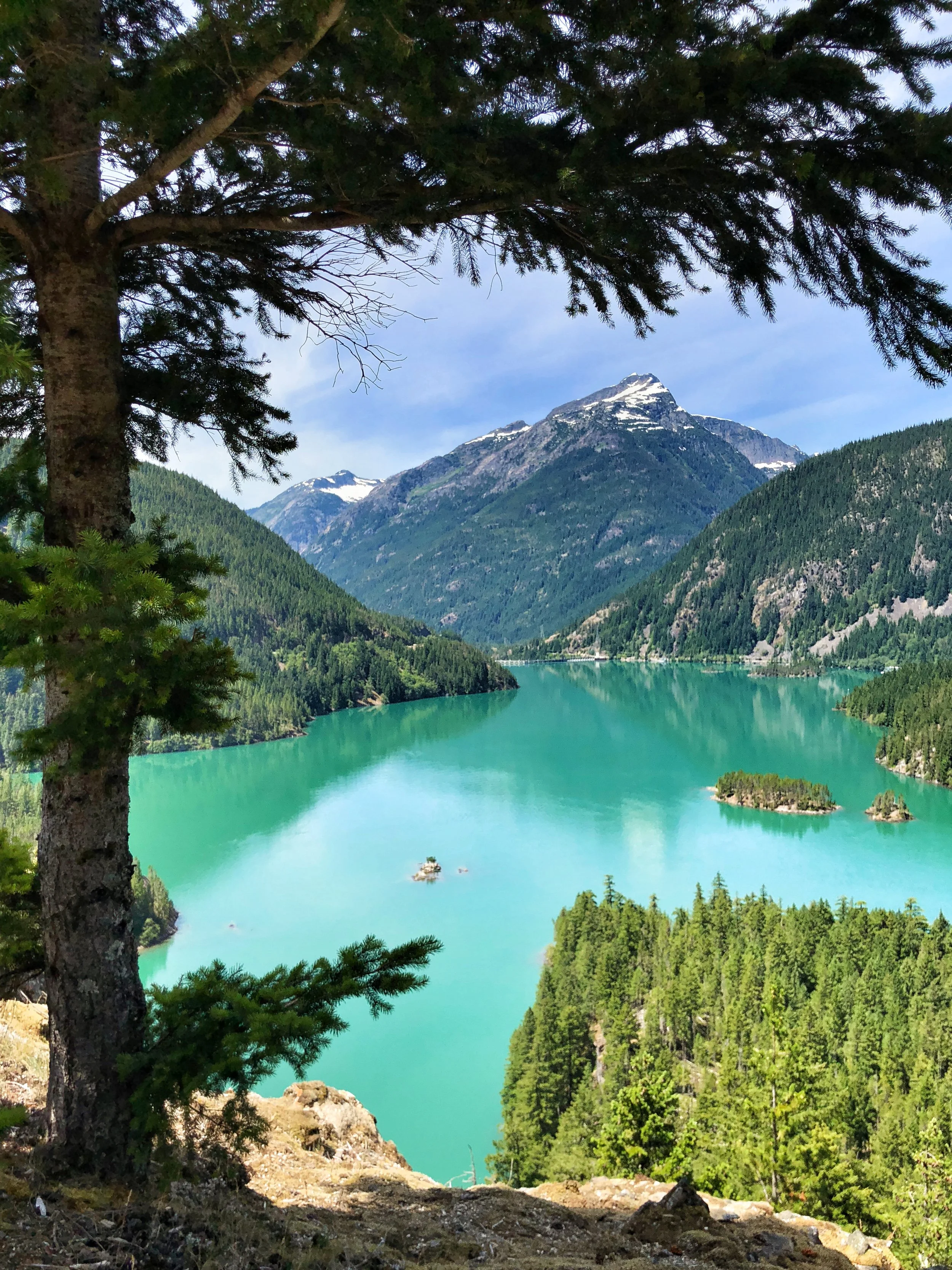Spruce and Diablo Lake