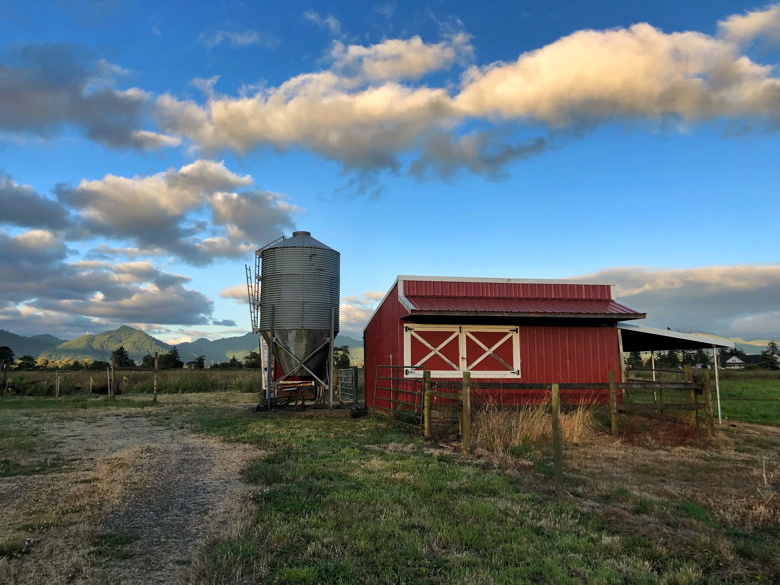 Tillamook Barn