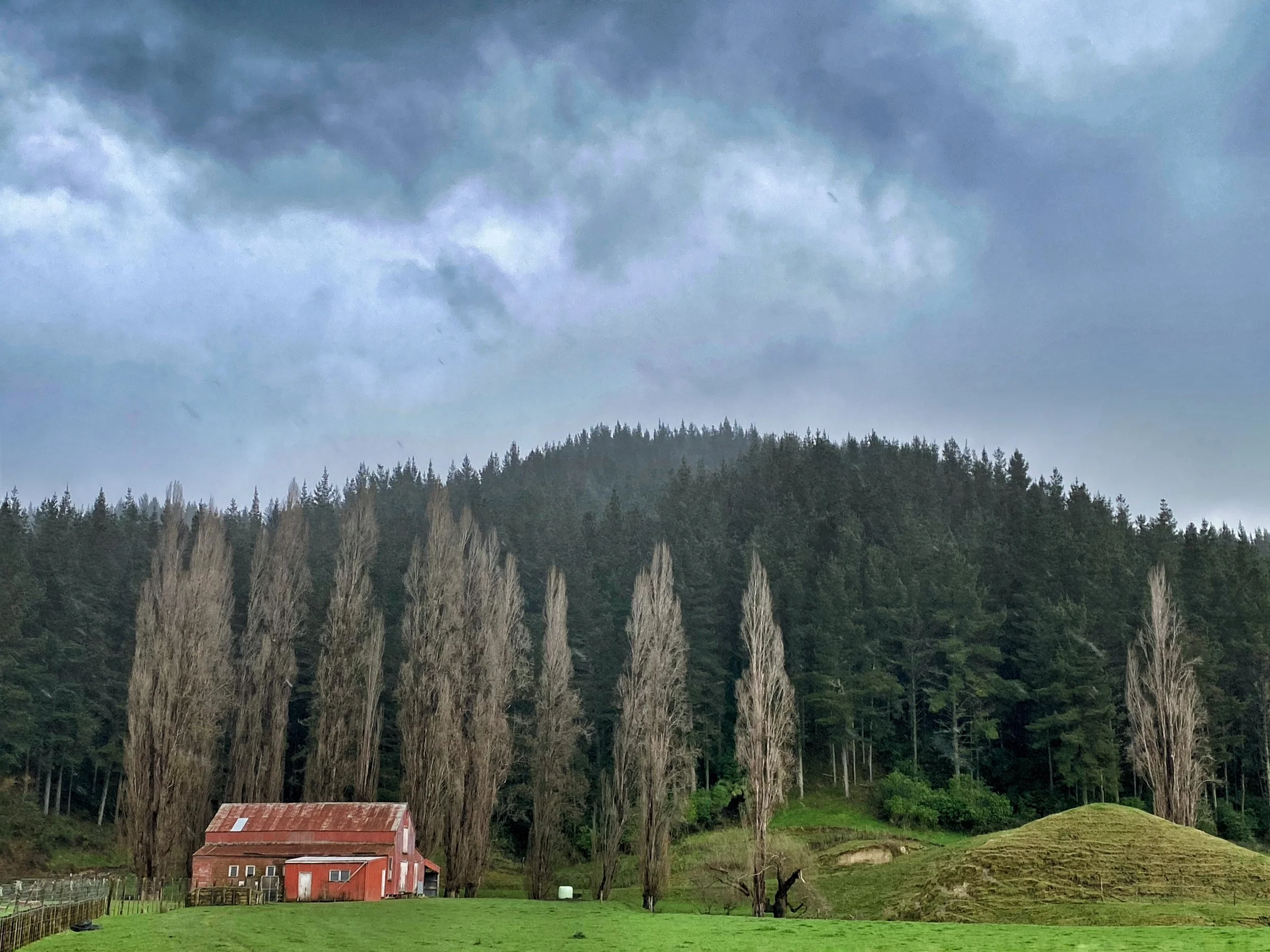Wairoa Barn New Zealand 