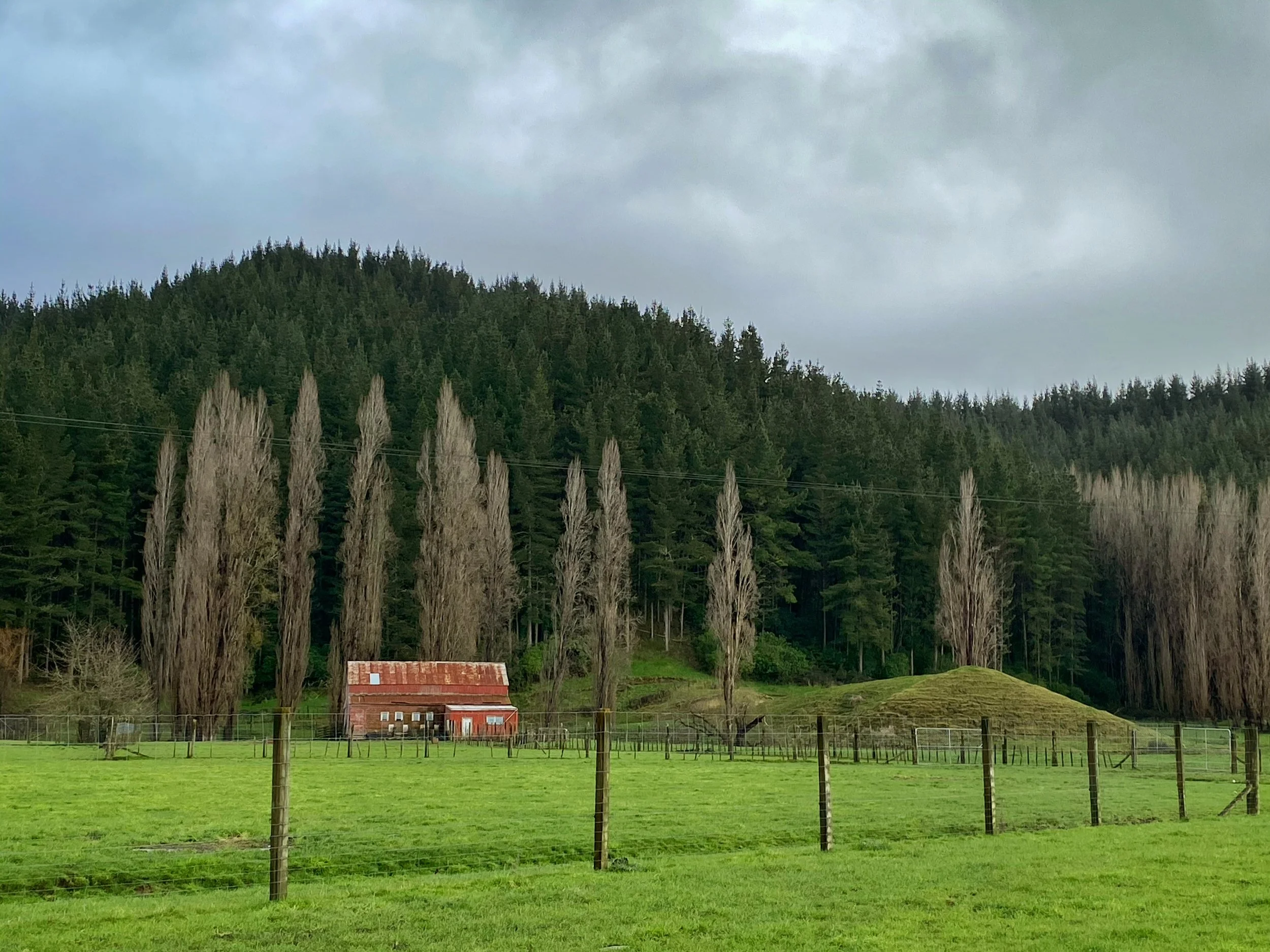 Wairoa Barn 2 - New Zealand