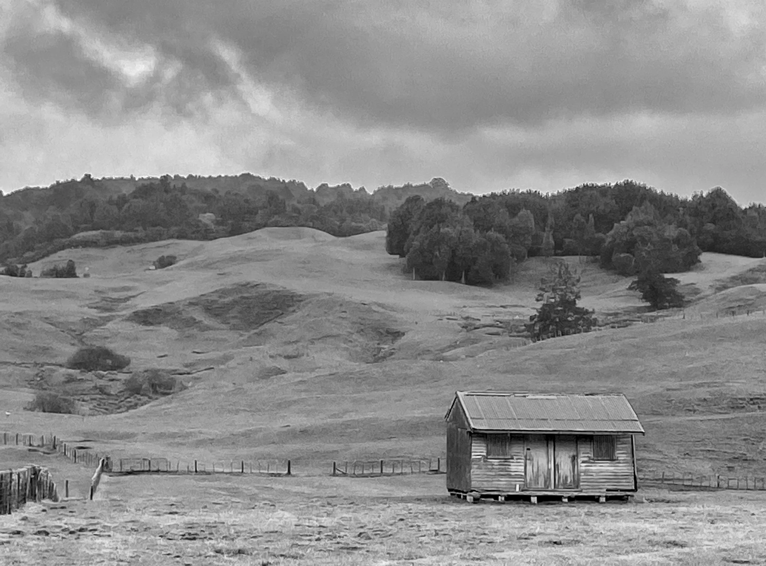 Abandoned Barn - Kopaki New Zealand