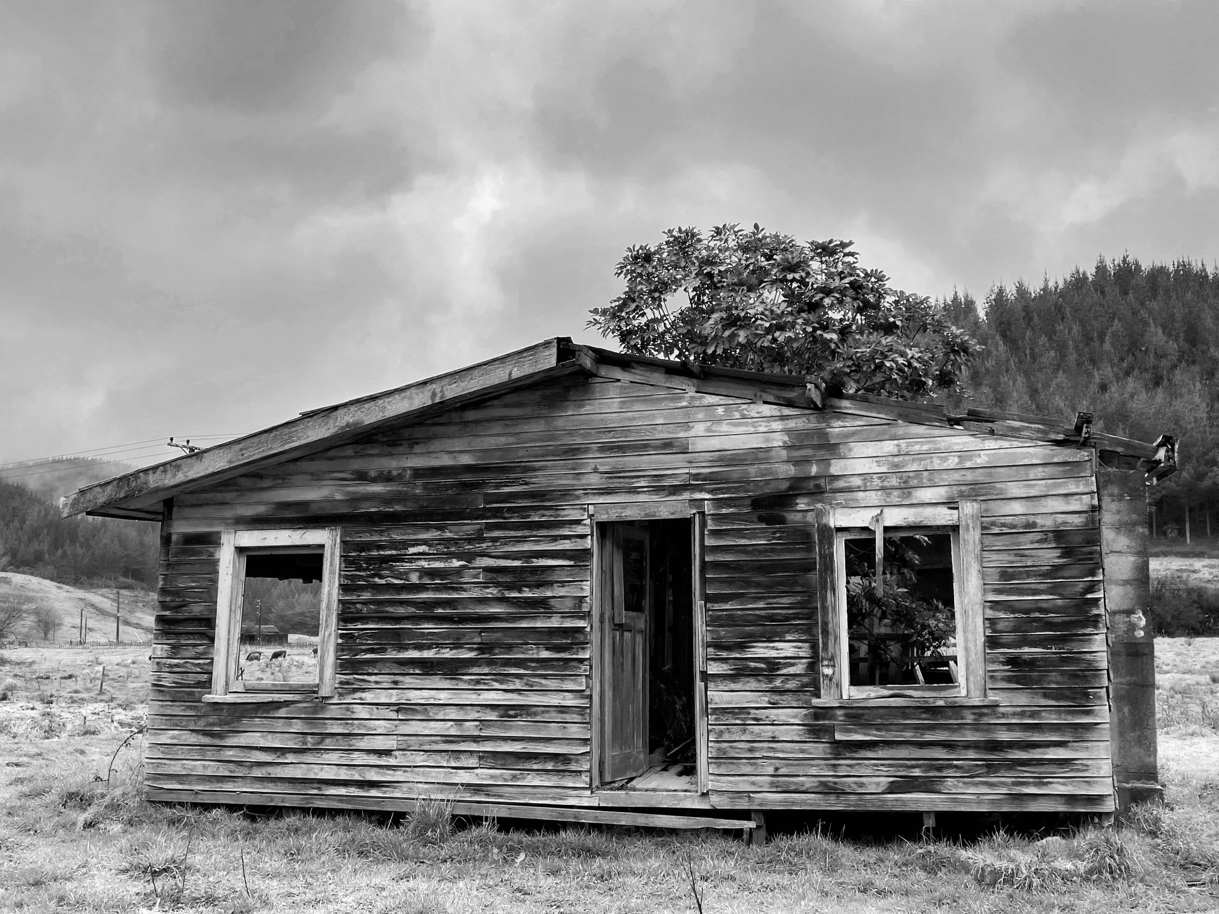 Kopaki Abandoned Shack