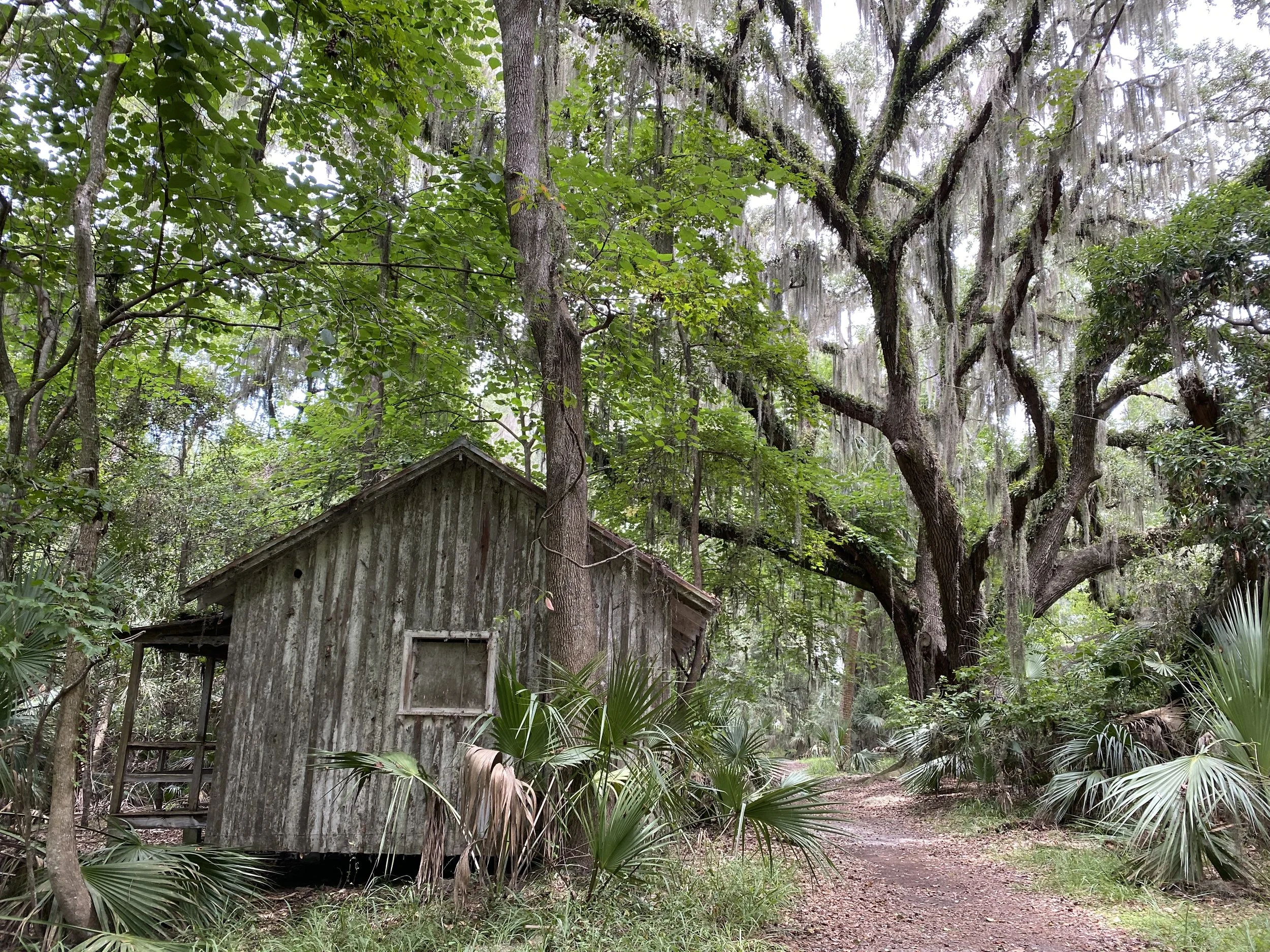 Skidaway Shack