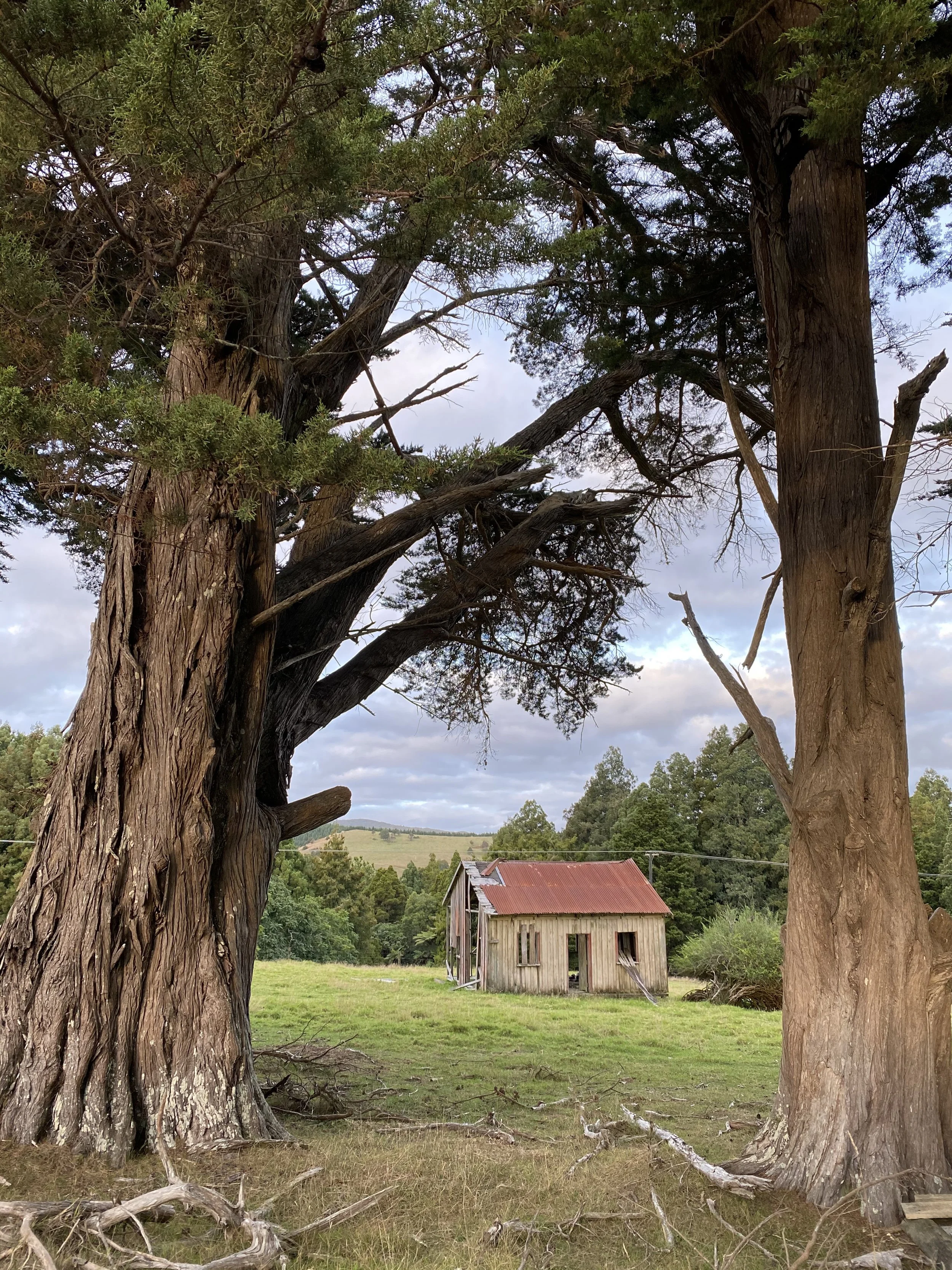 Donnellys Crossing Barn - New Zealand