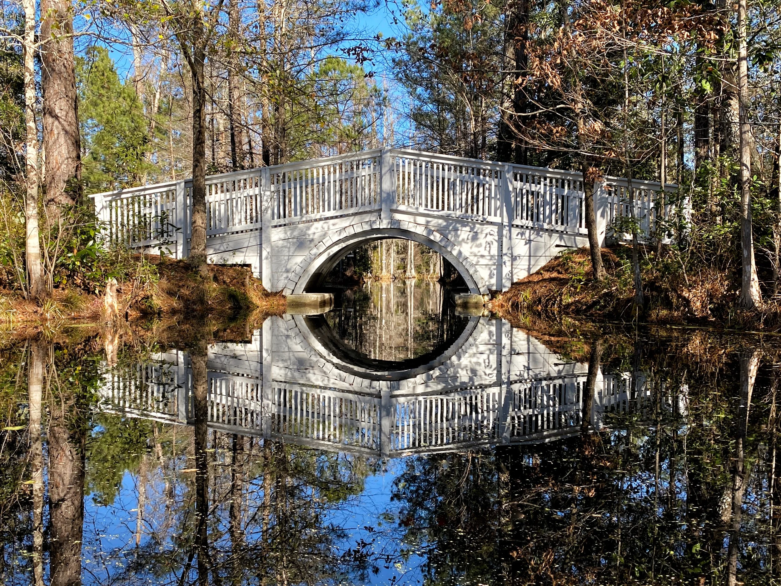 Cypress Gardens Bridge - Color