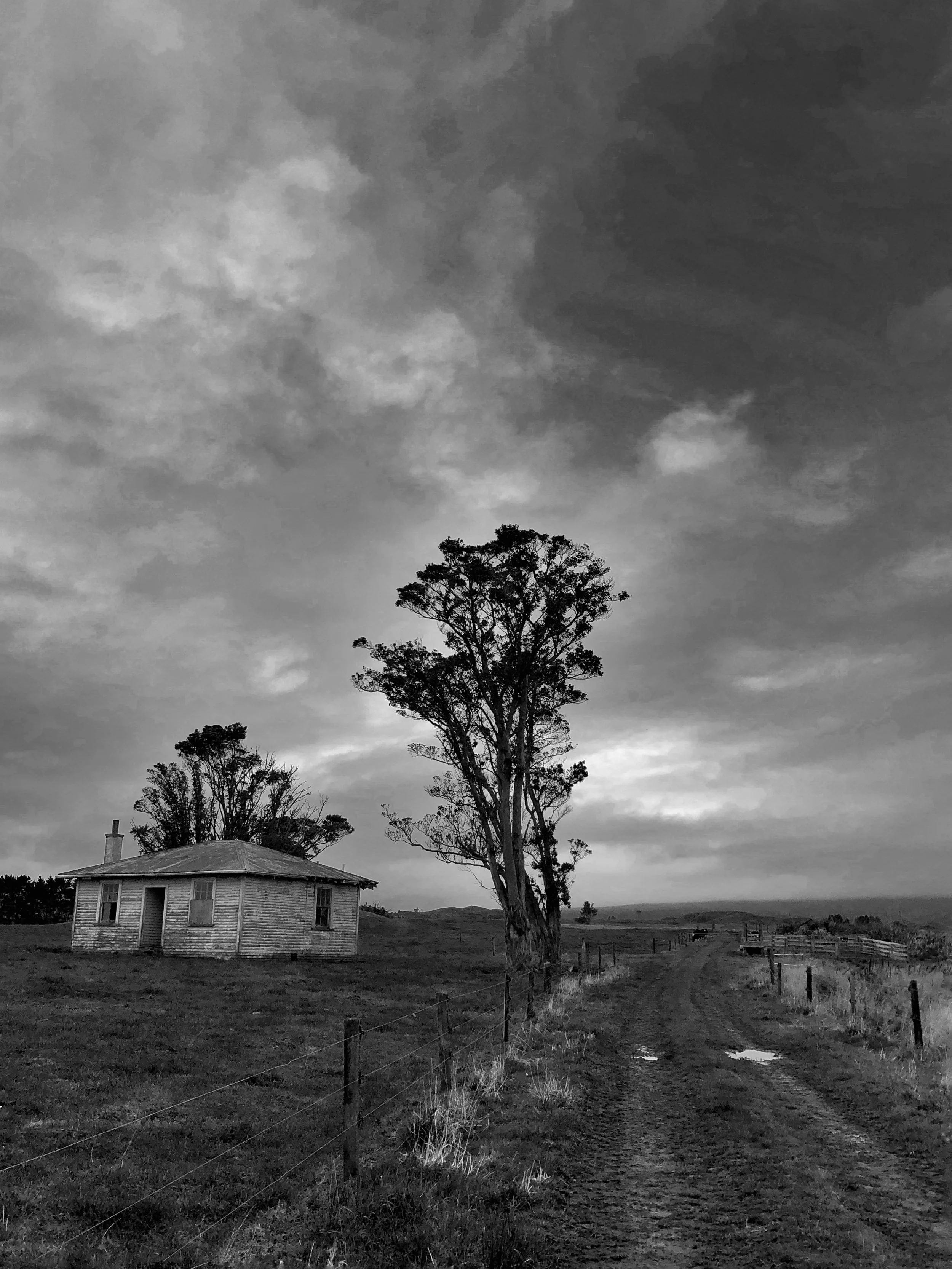 Mt. Taranaki Abandoned Bungalow - Vertical