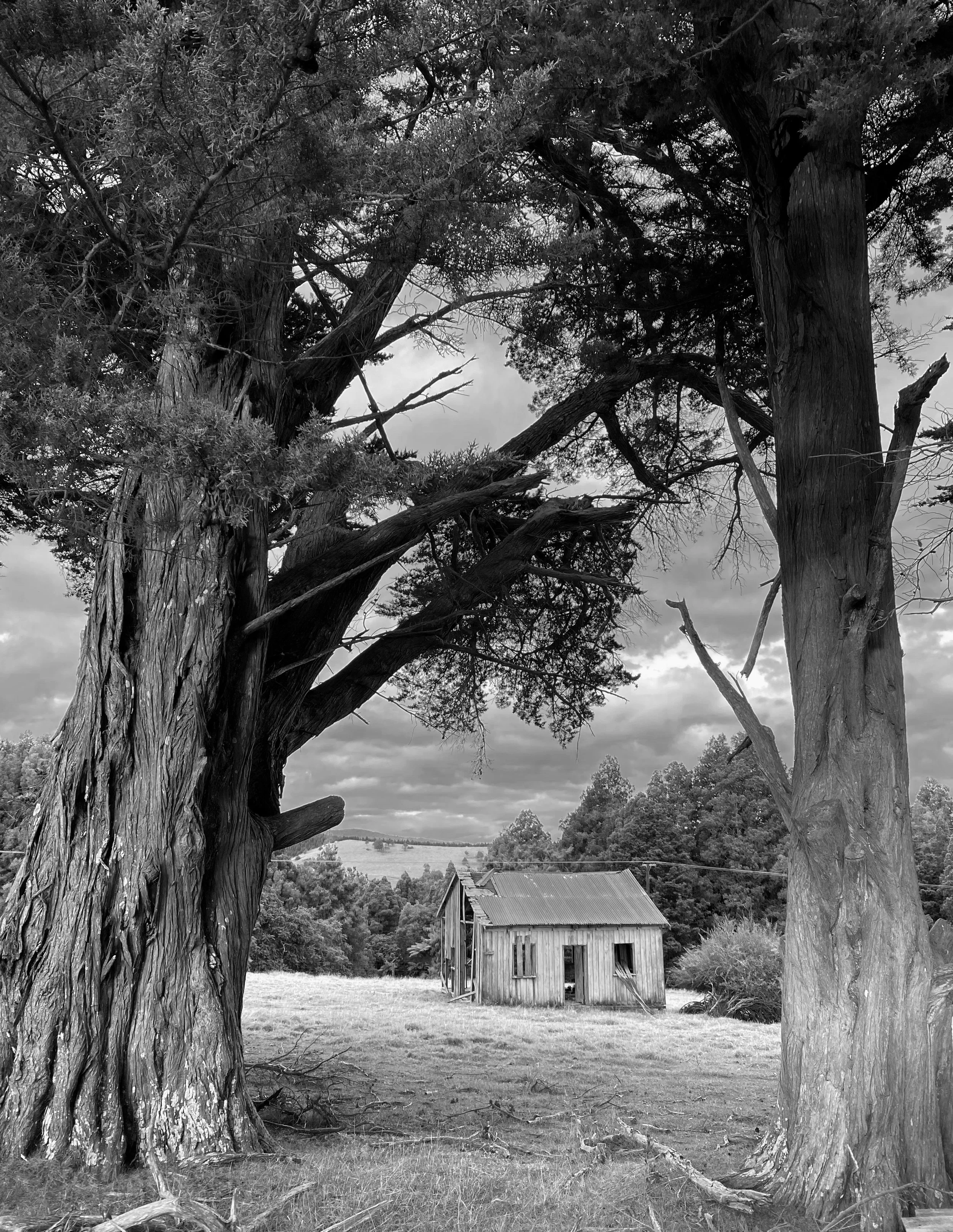 Donnellys Crossing Barn - Black and White