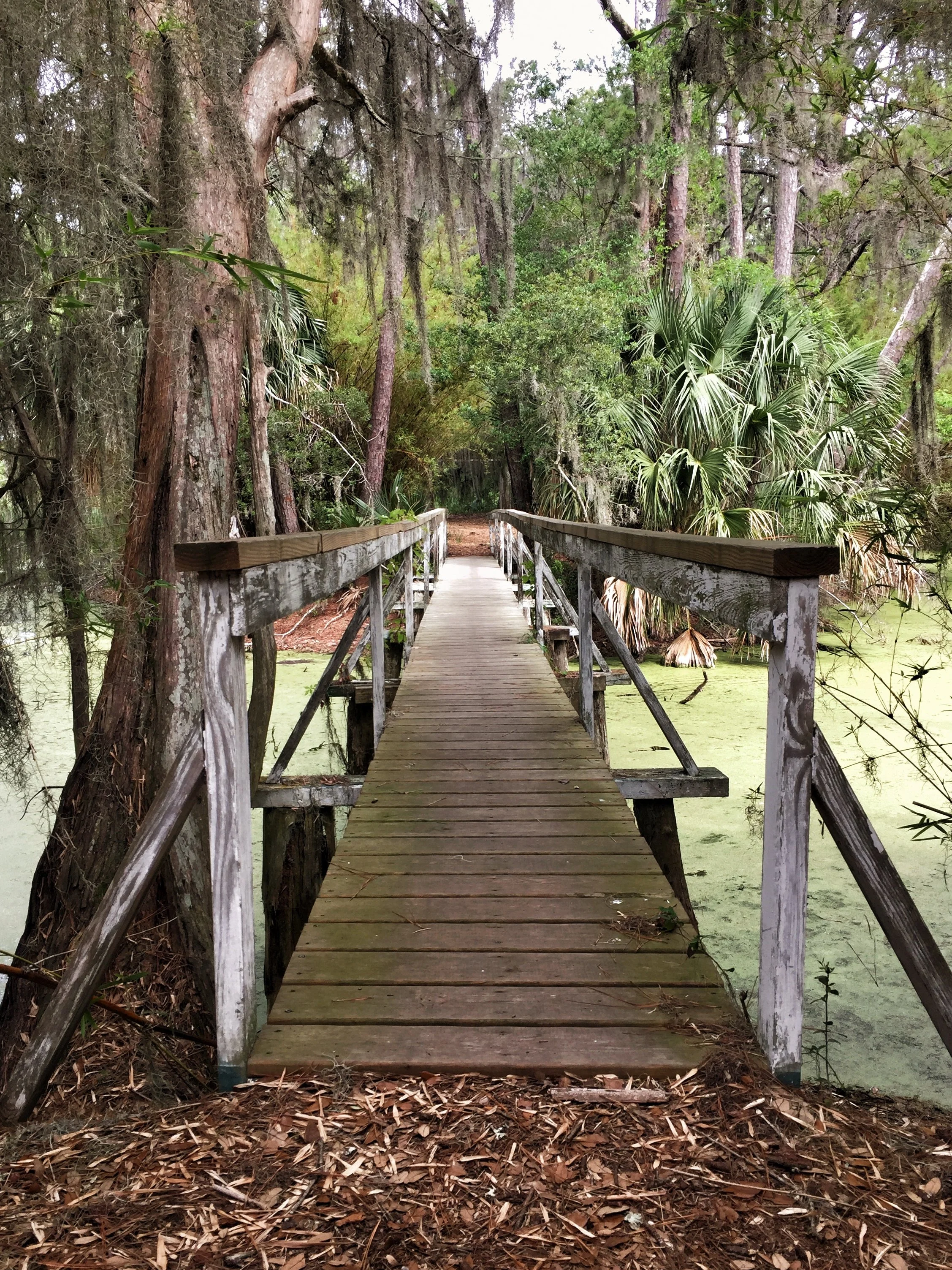 Sapelo Island Bridge