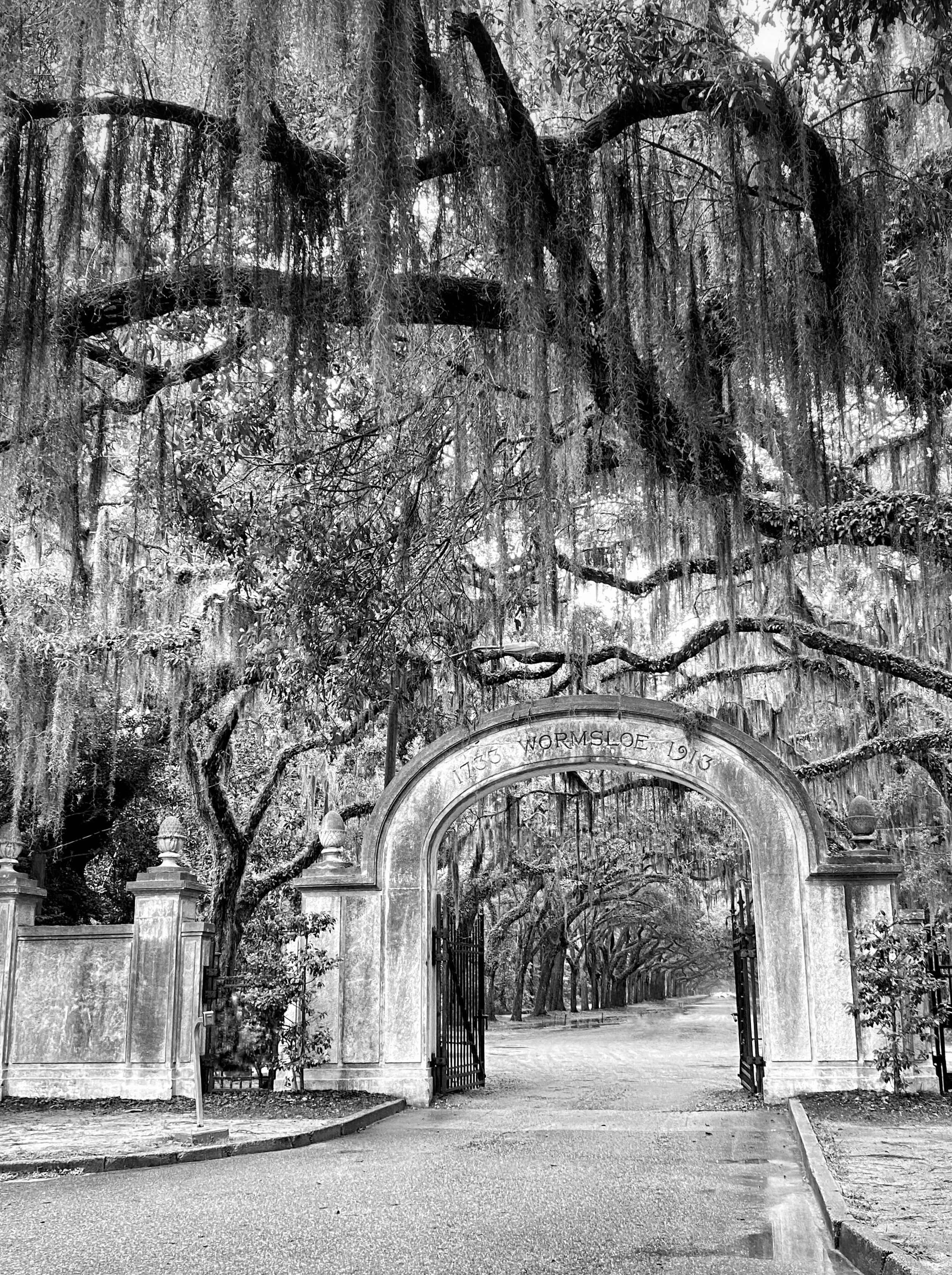 Wormsloe Gate - Black and White