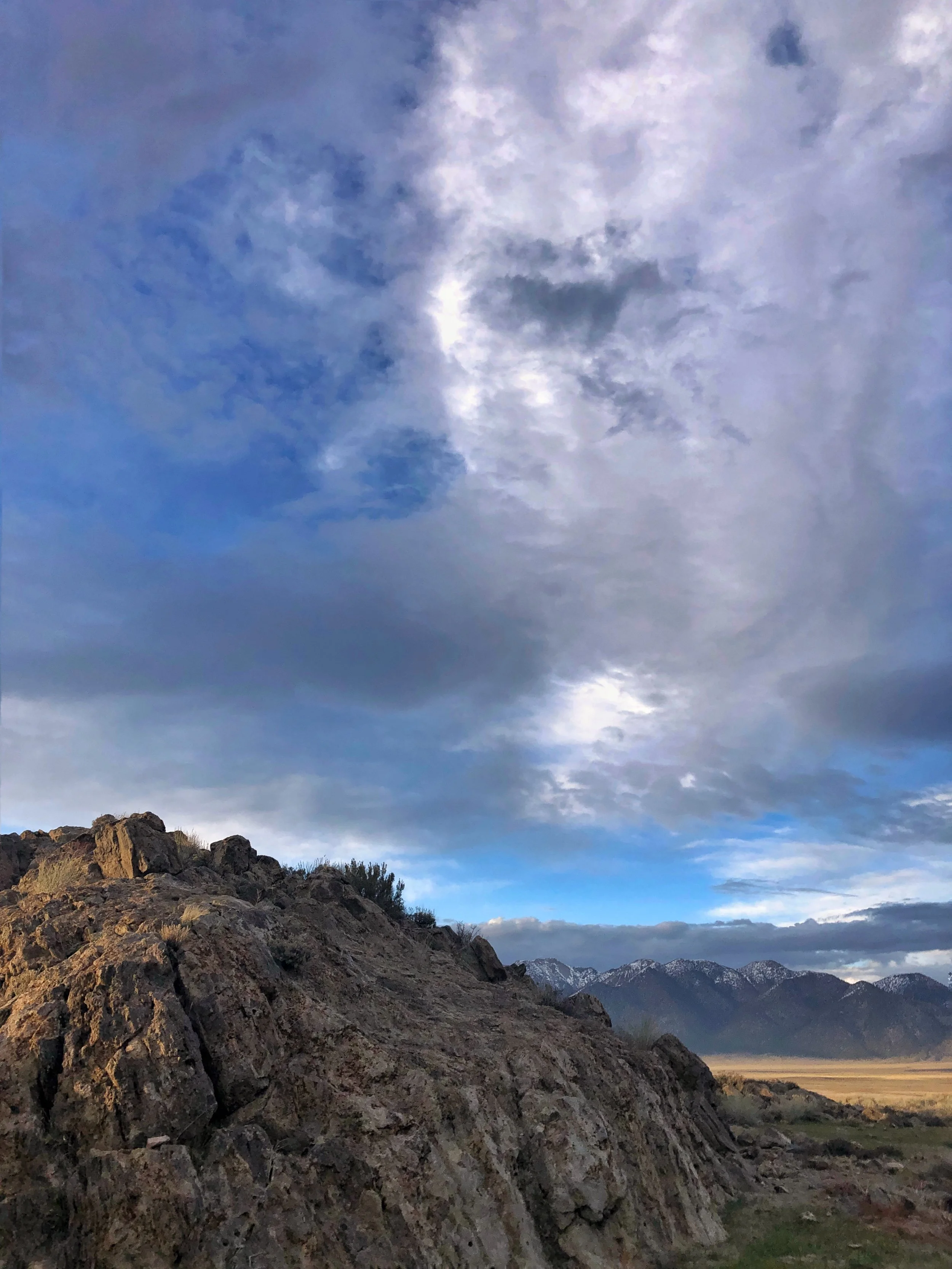 Wolf Cloud