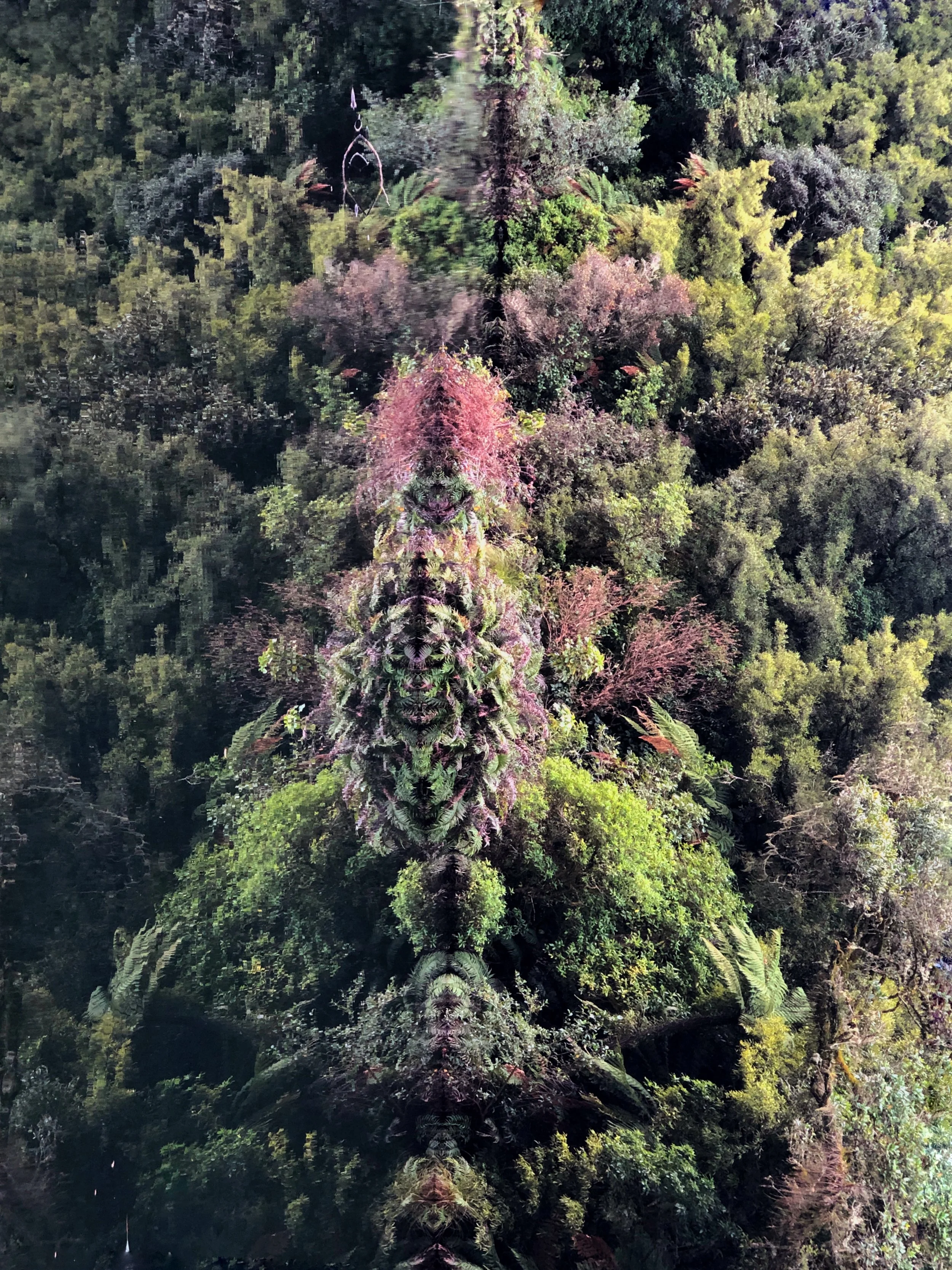 Integration - A Nature Spirit Totem