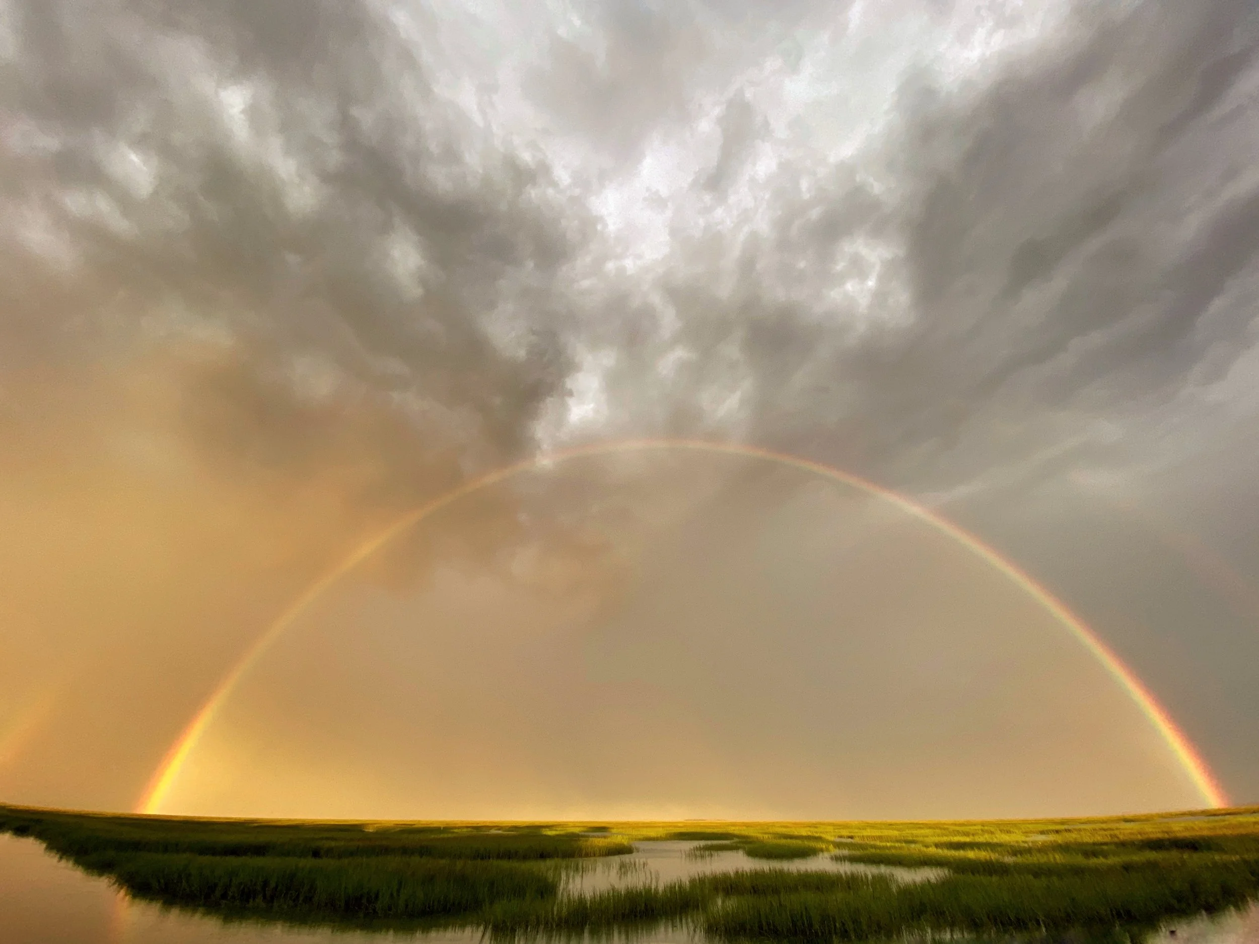 Winged Rainbow