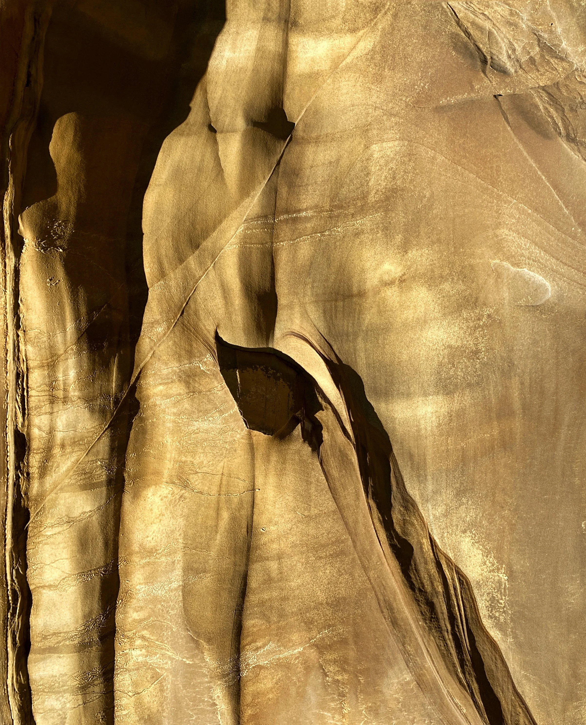 Hidden and Revealed - Vertical